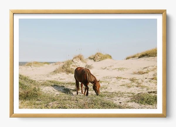 Beach Bum in a Gold frame
