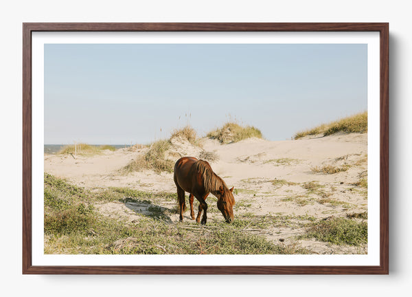 Beach Bum in a Heritage Walnut frame