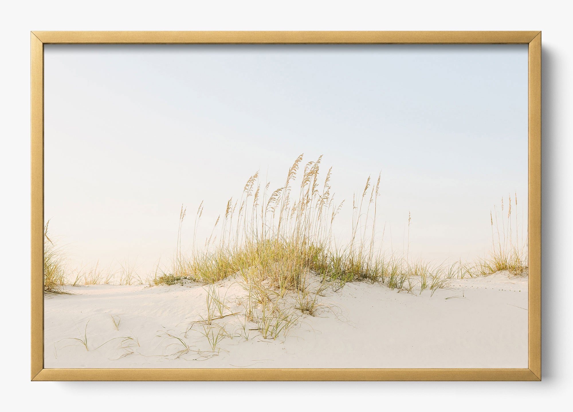 Beyond The Dunes