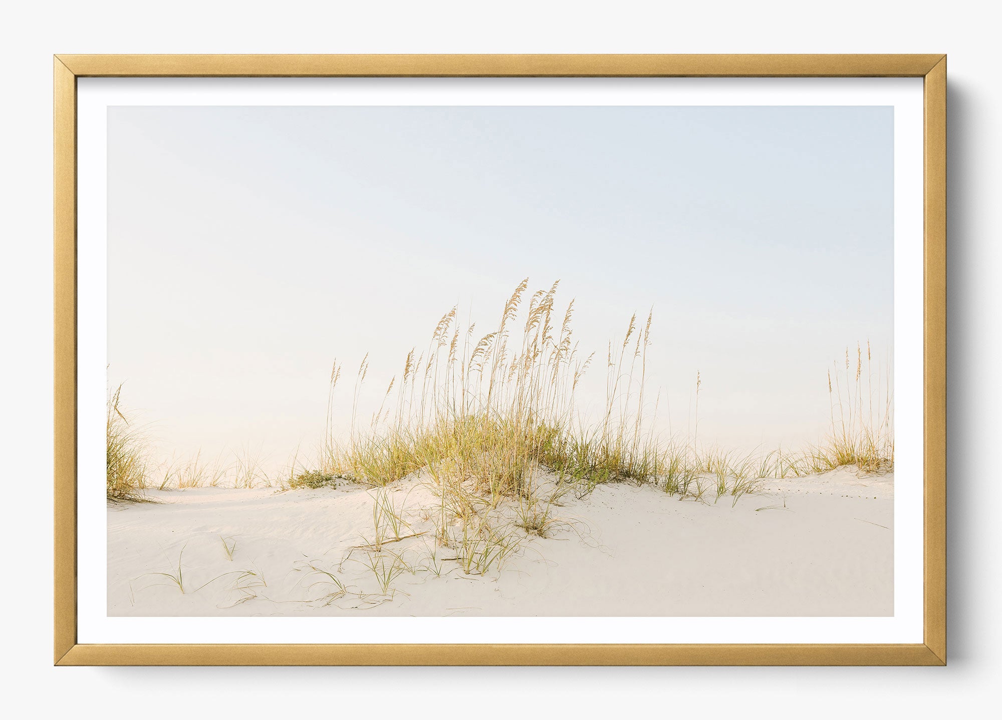 Beyond The Dunes
