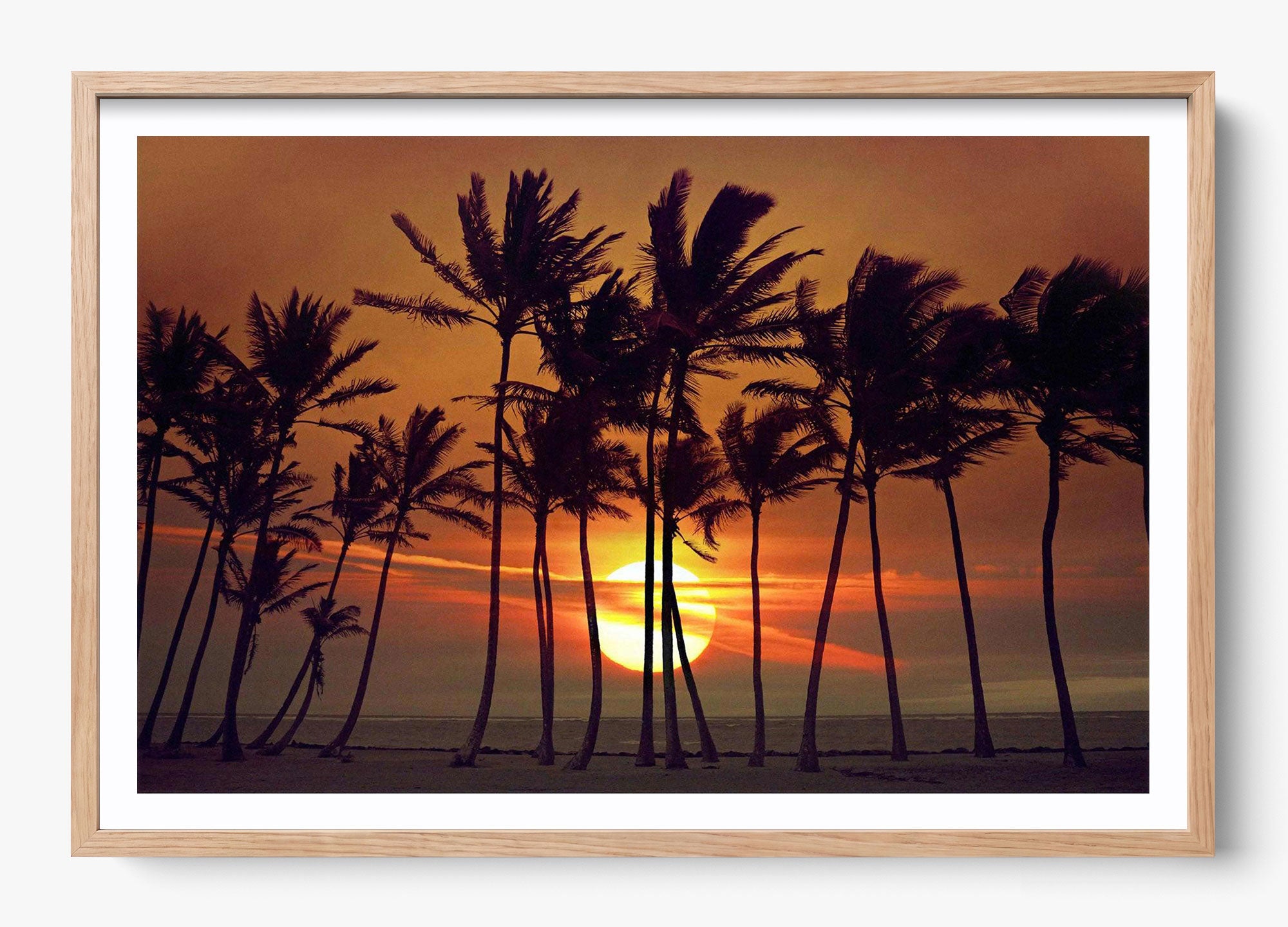 Beyond The Palms
