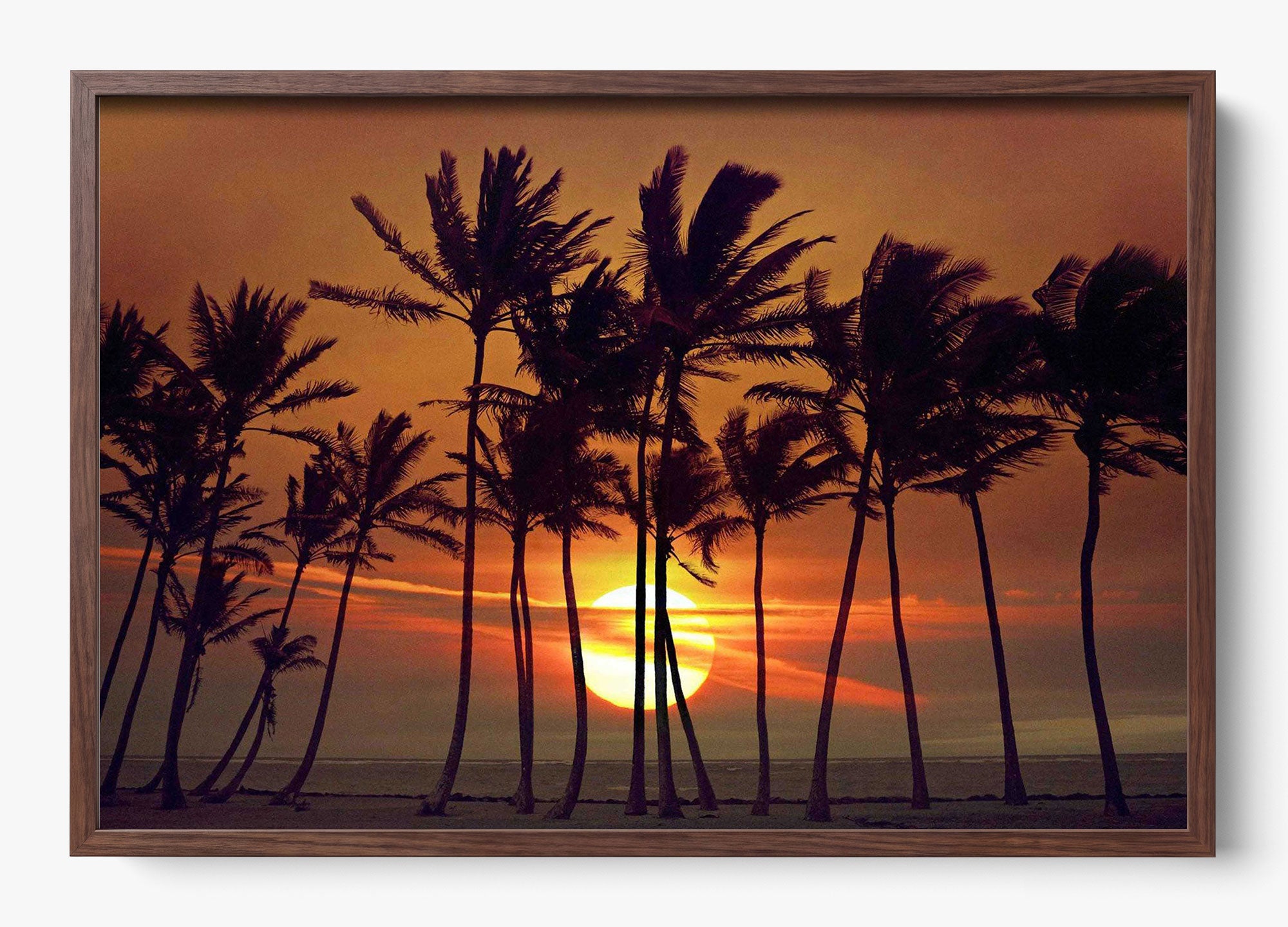 Beyond The Palms