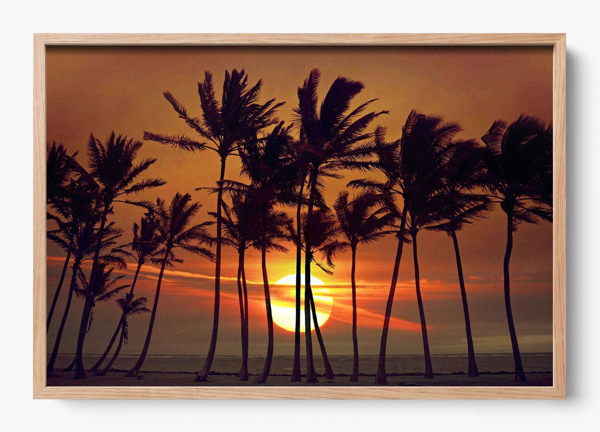 Beyond The Palms
