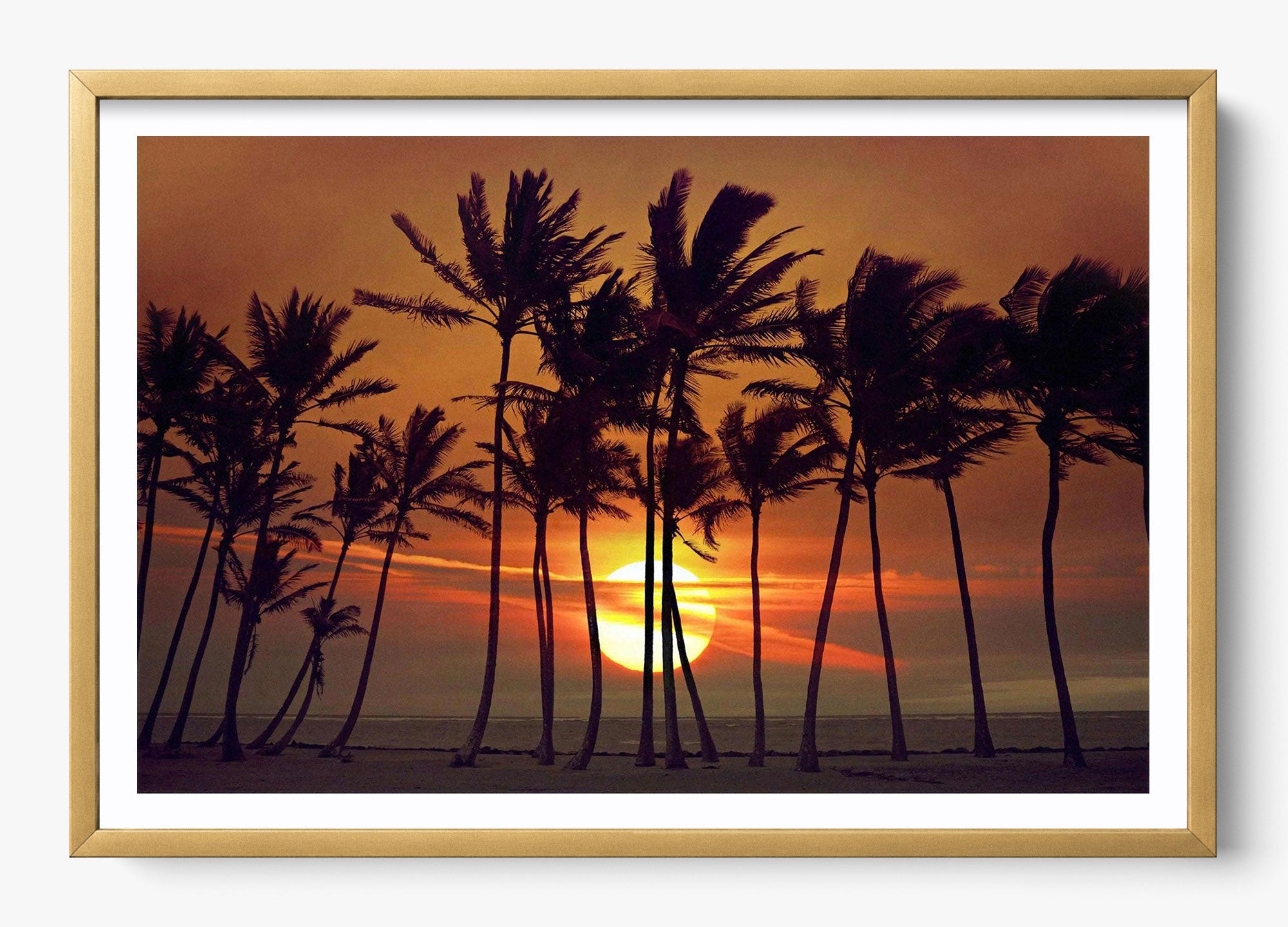 Beyond The Palms
