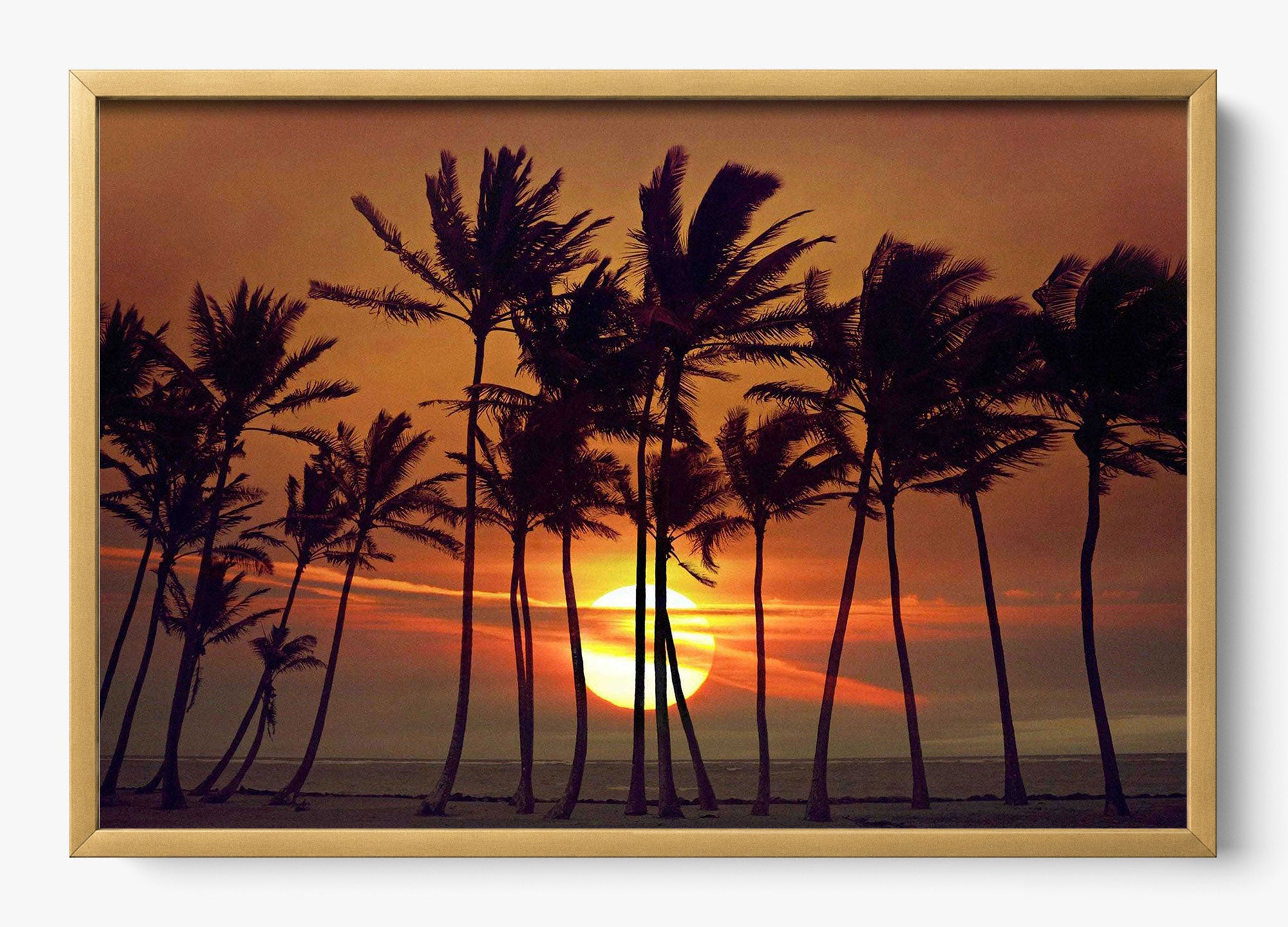Beyond The Palms
