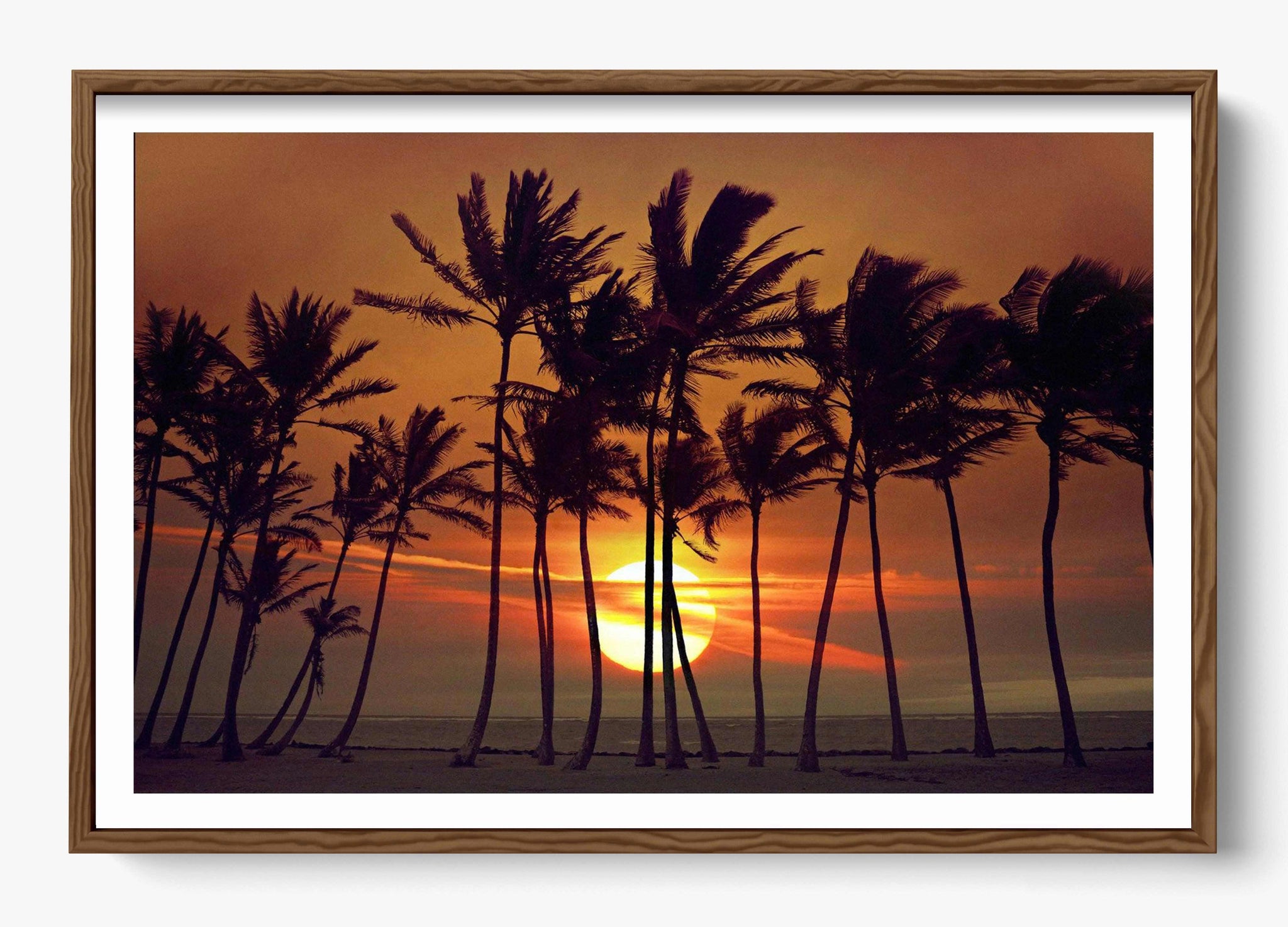 Beyond The Palms