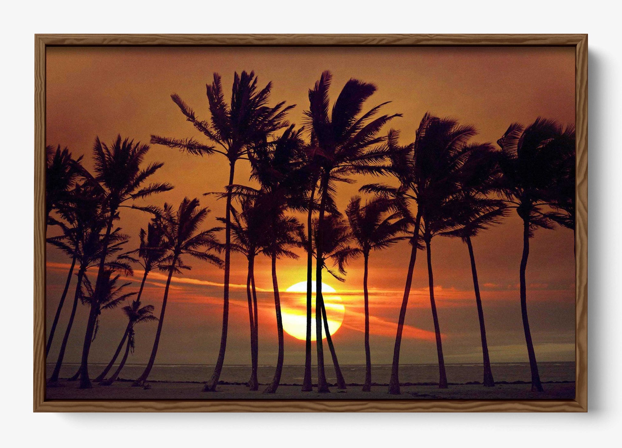 Beyond The Palms