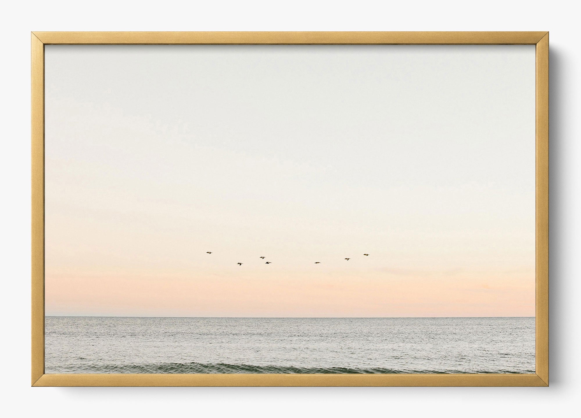 Birds At Dusk