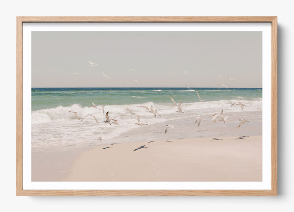 Birds Of A Feather in a Hickory frame