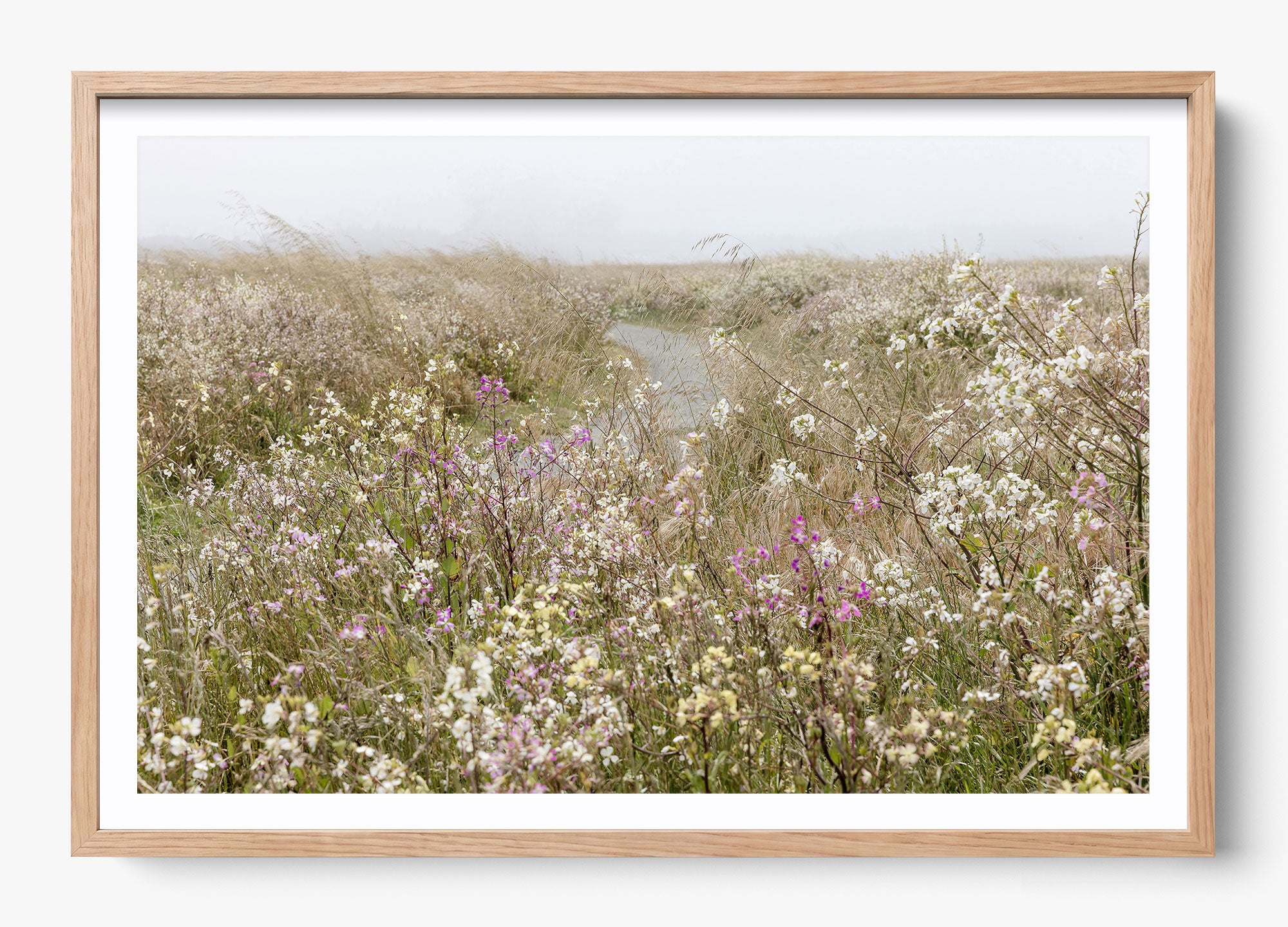 Bloom On The Coast