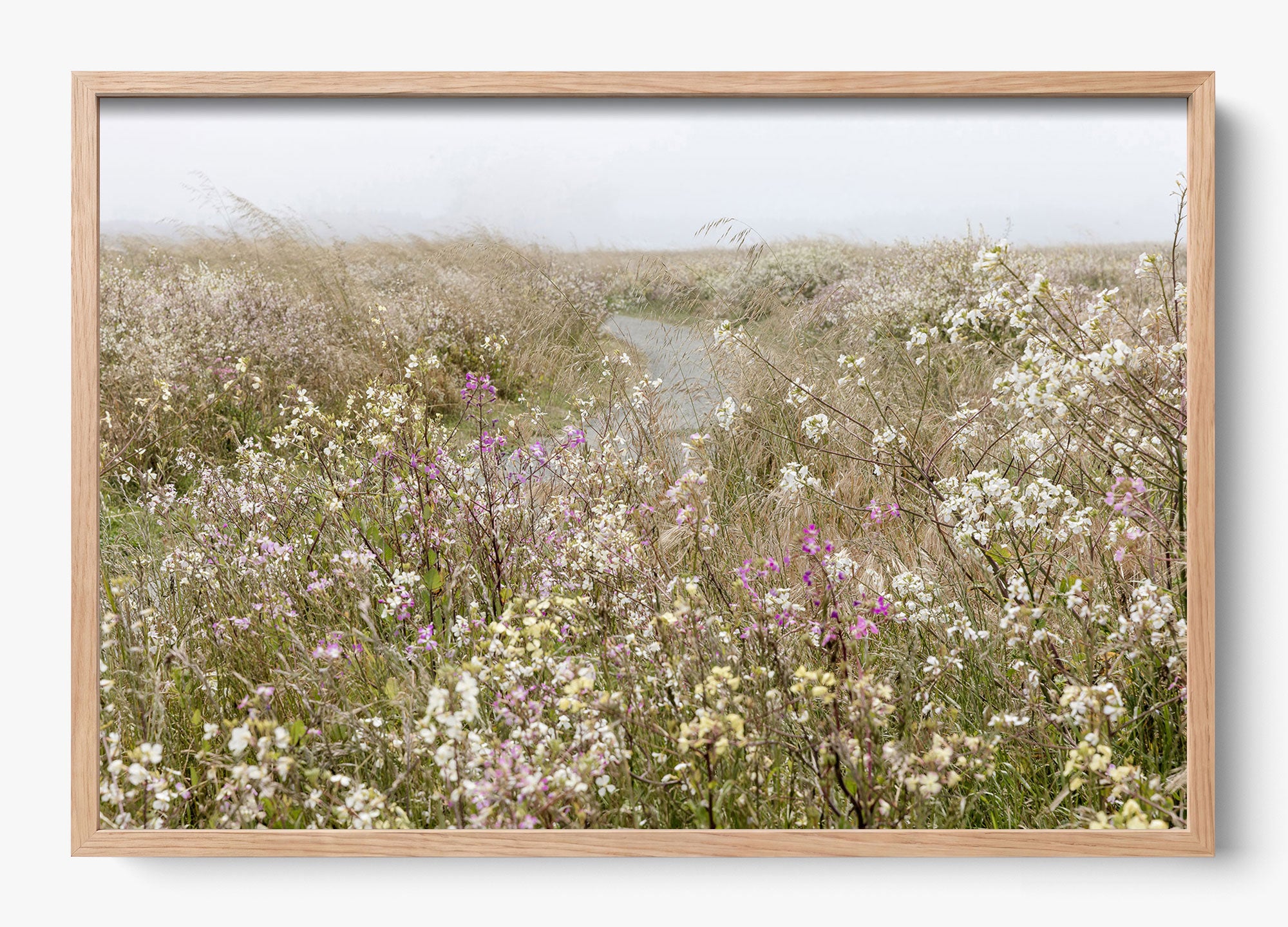 Bloom On The Coast