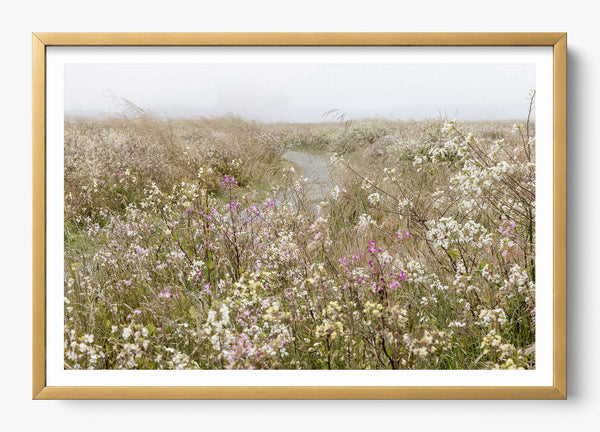 Bloom On The Coast in a Gold frame