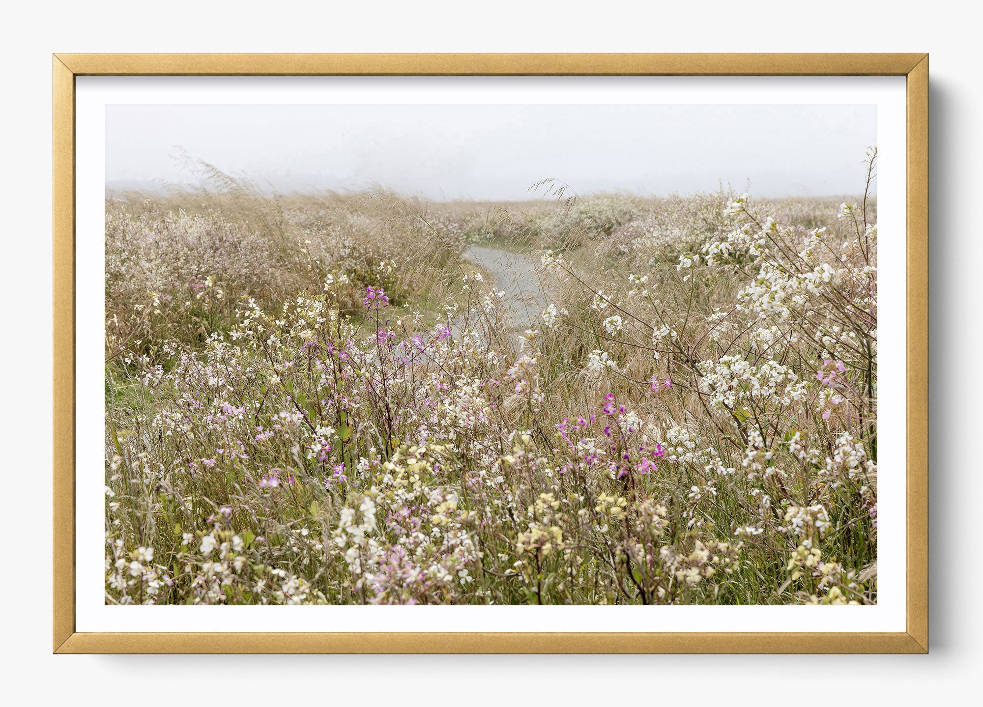 Bloom On The Coast