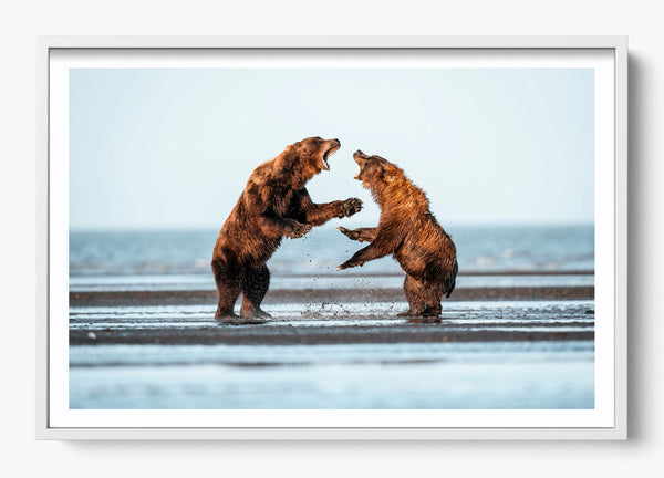 Rivalry in a White frame