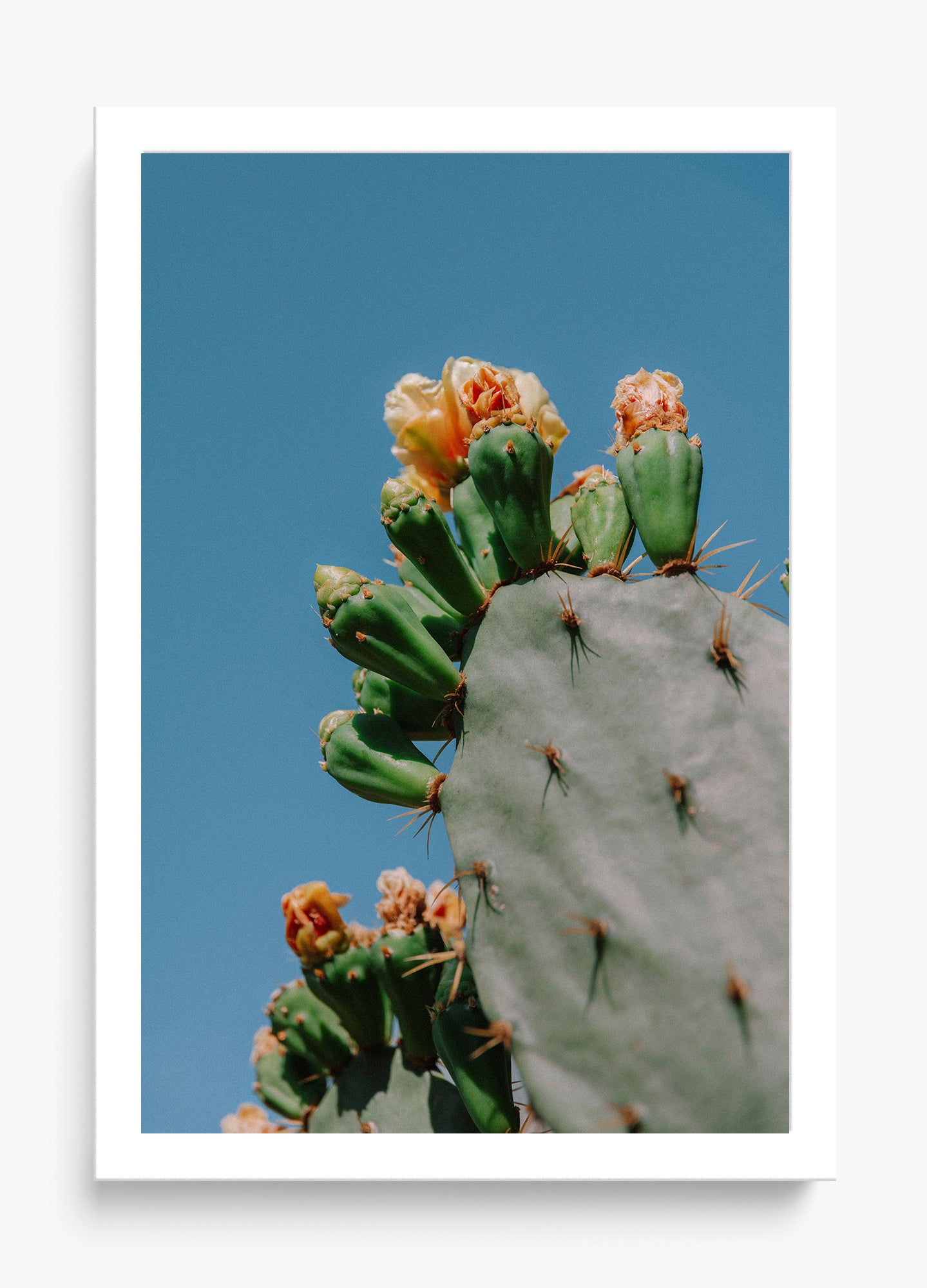 Dry Seasons