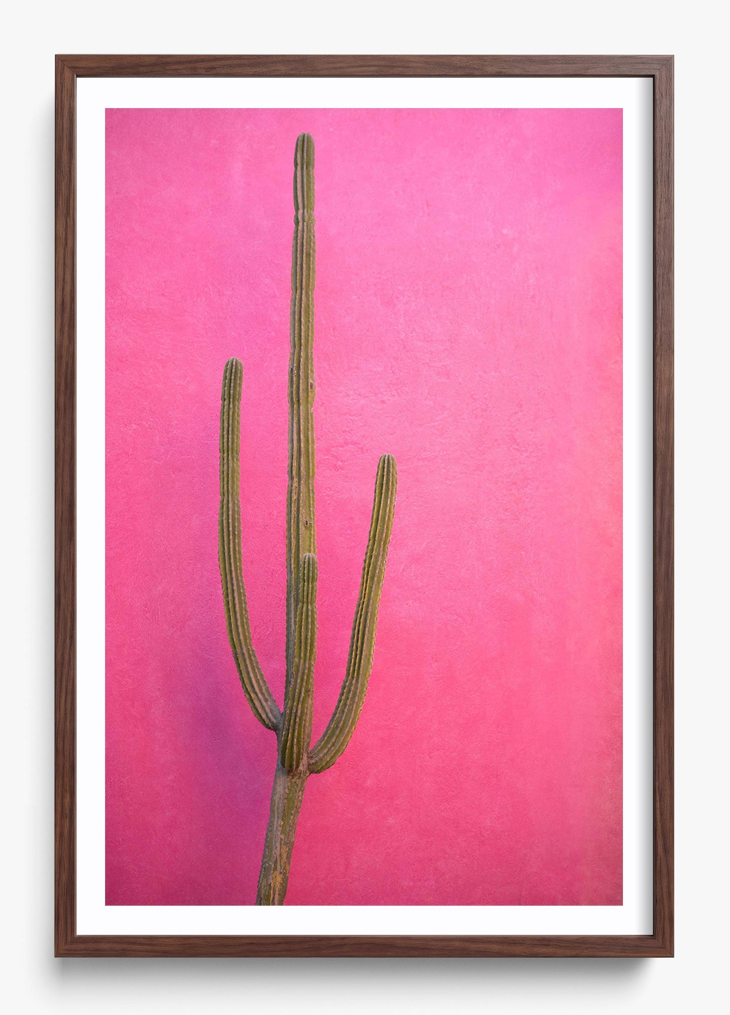 Cactus Pink