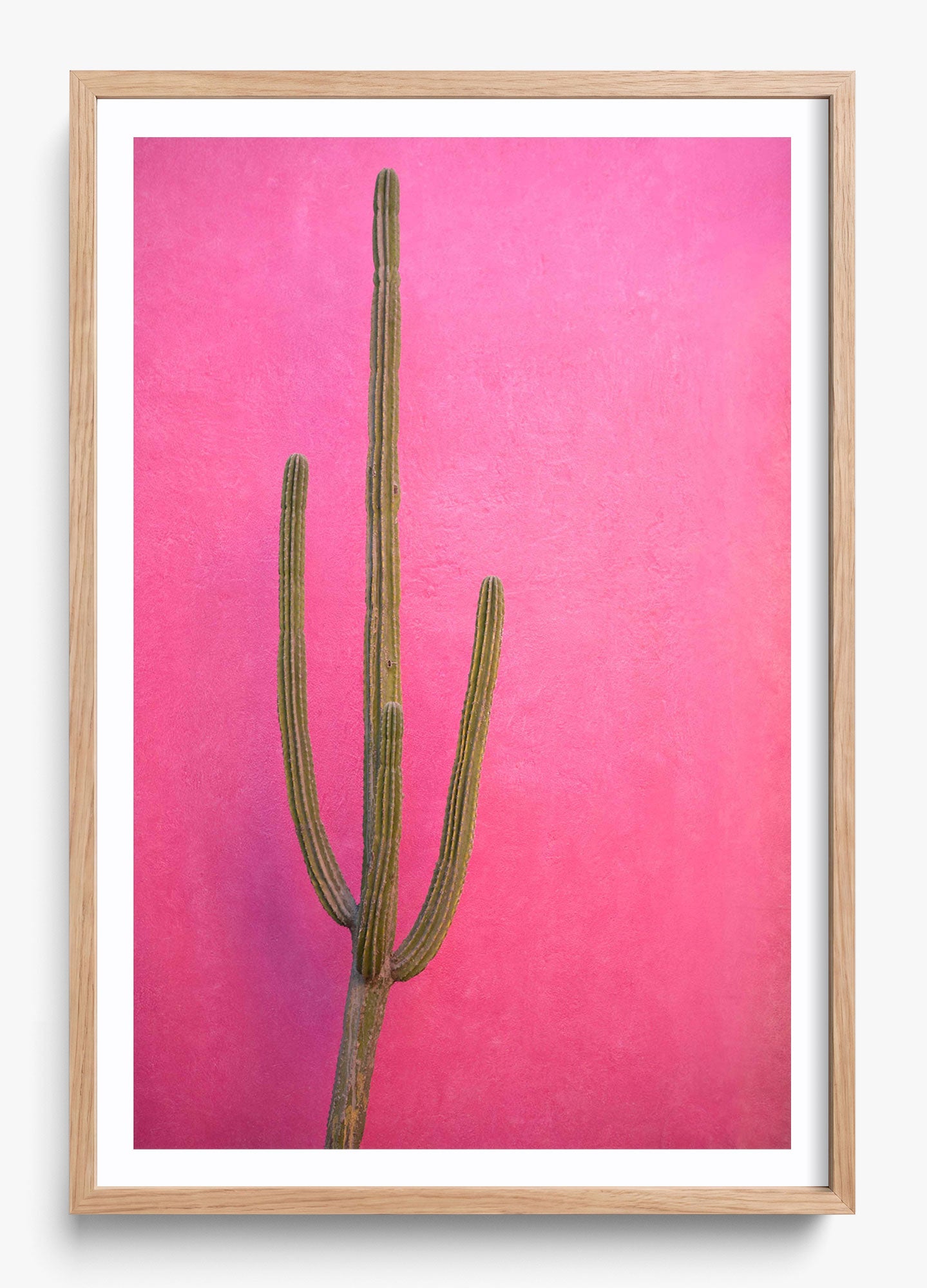 Cactus Pink