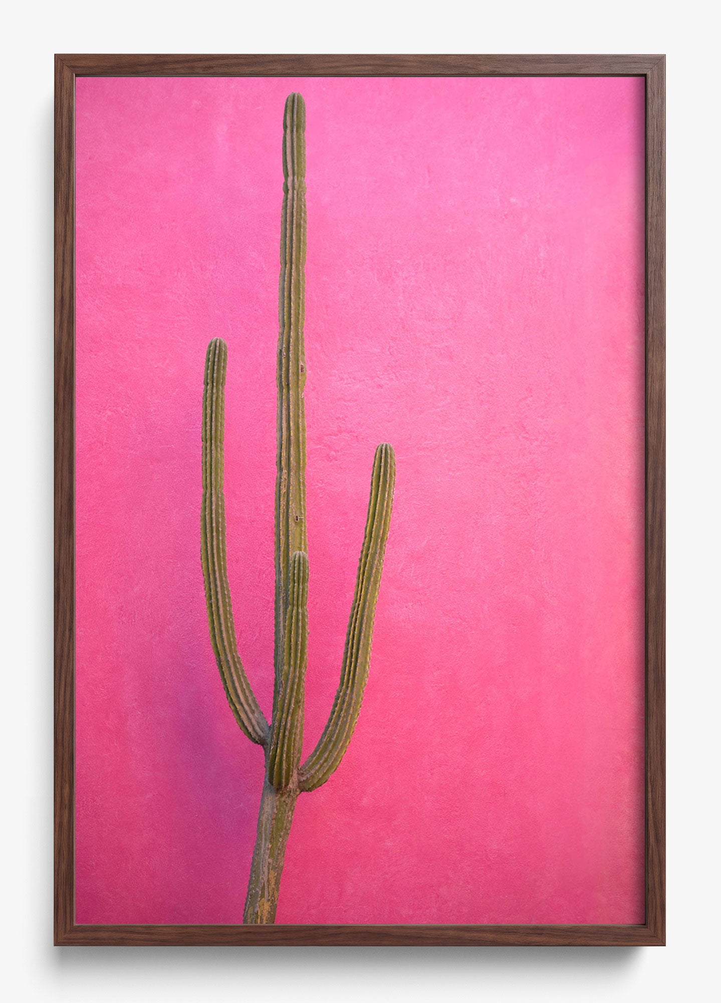 Cactus Pink