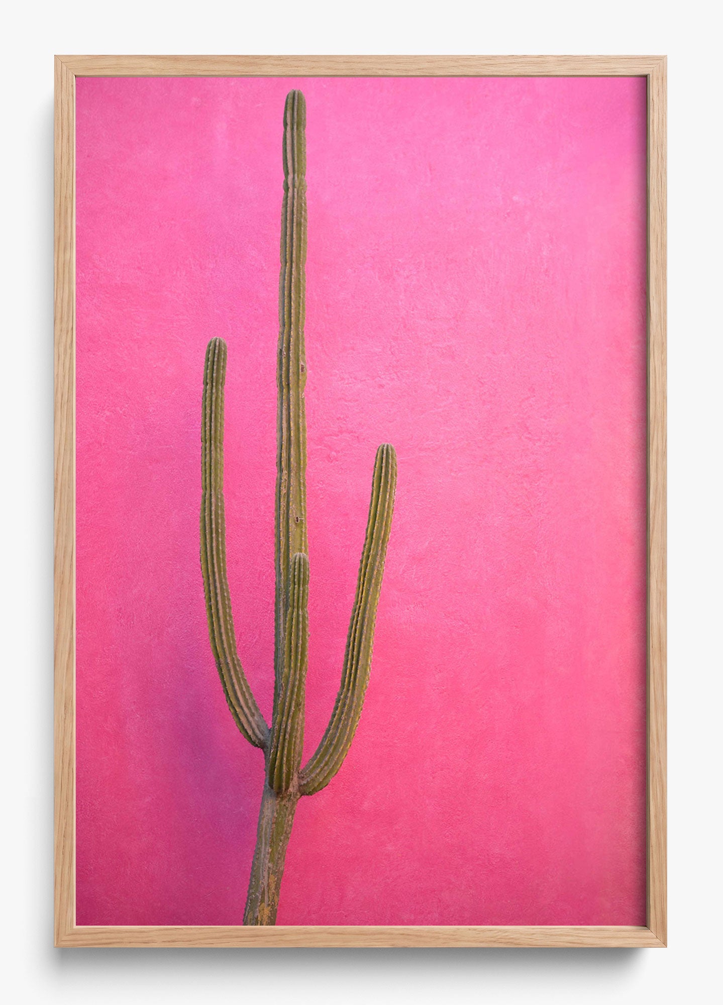 Cactus Pink