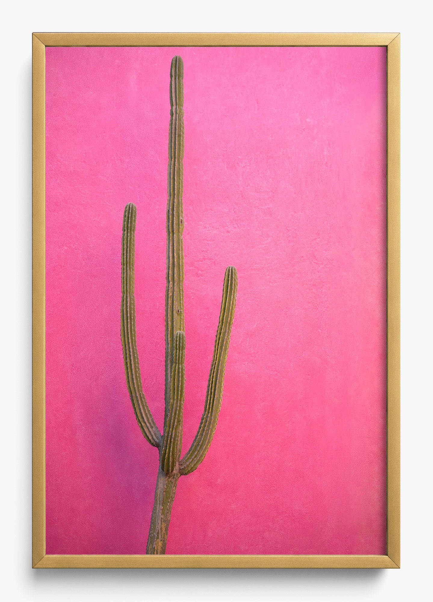 Cactus Pink