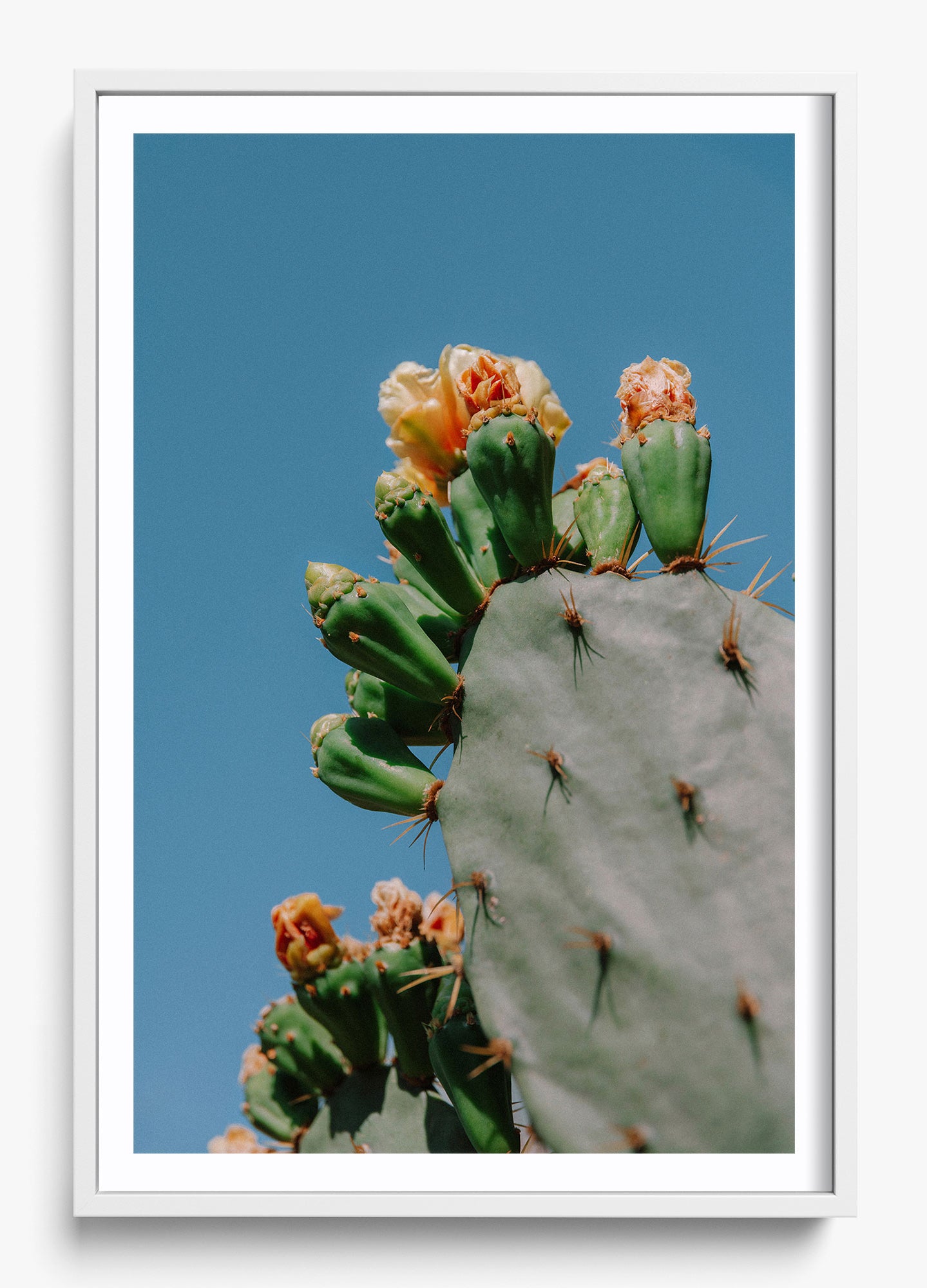Dry Seasons