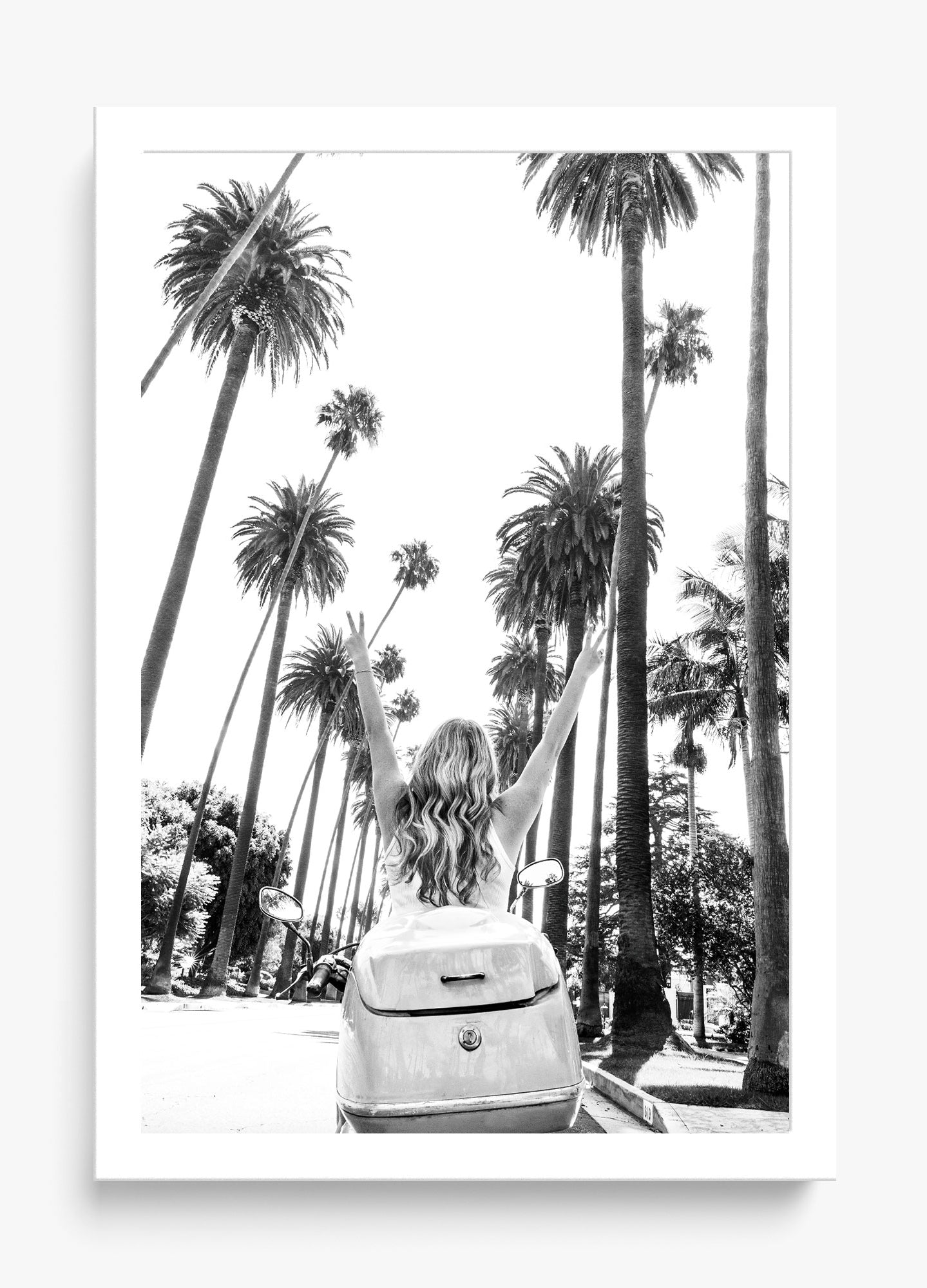 Cali Cruise