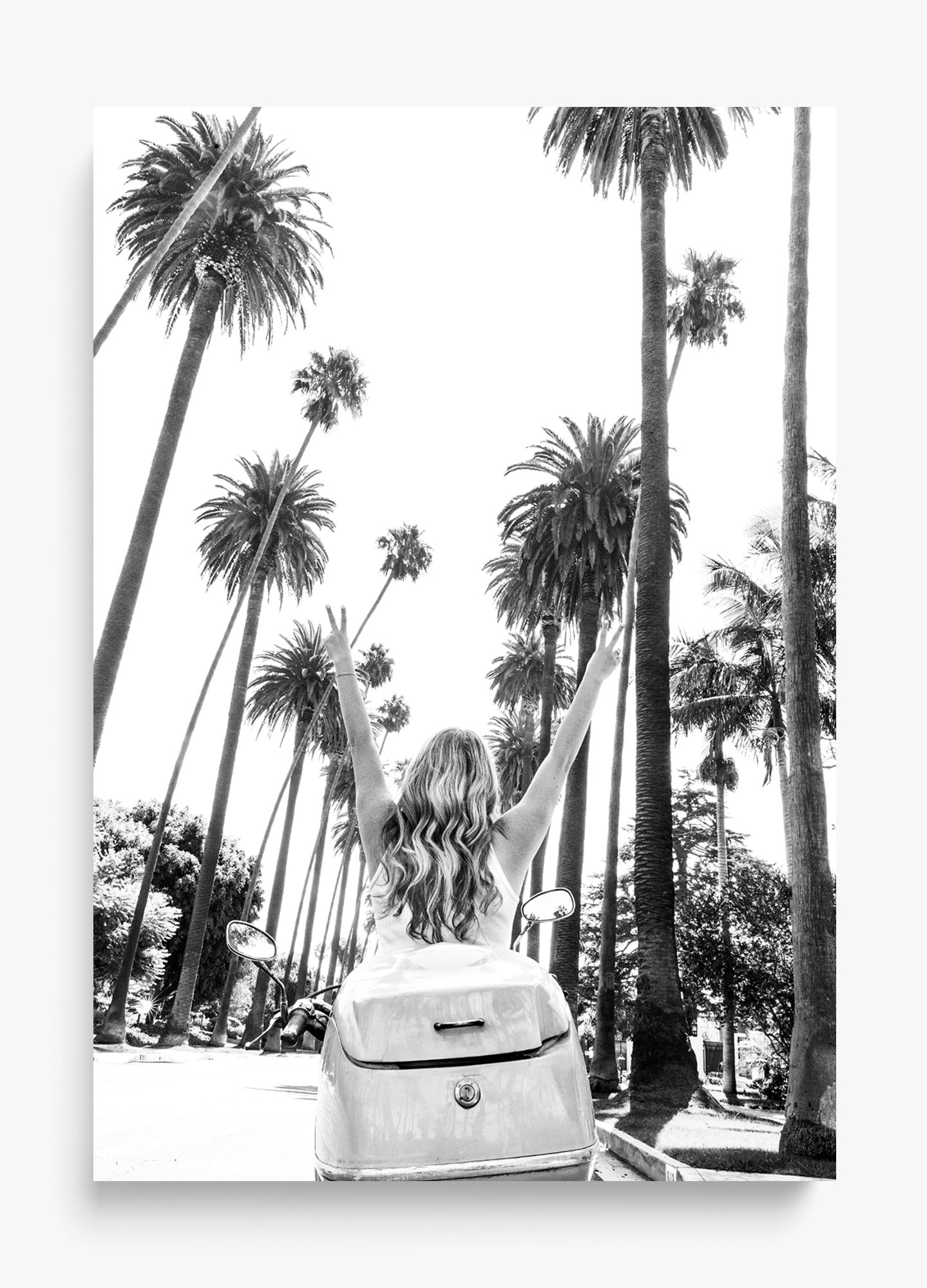 Cali Cruise