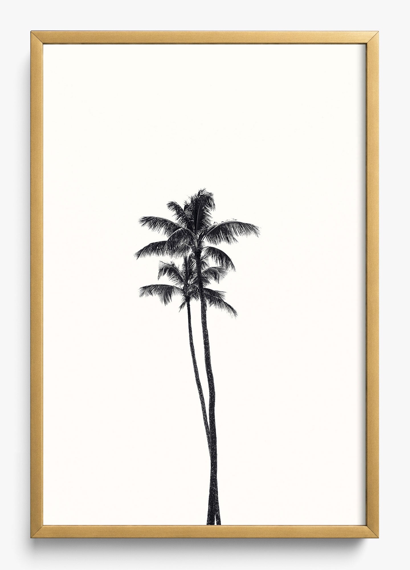 California Lovers