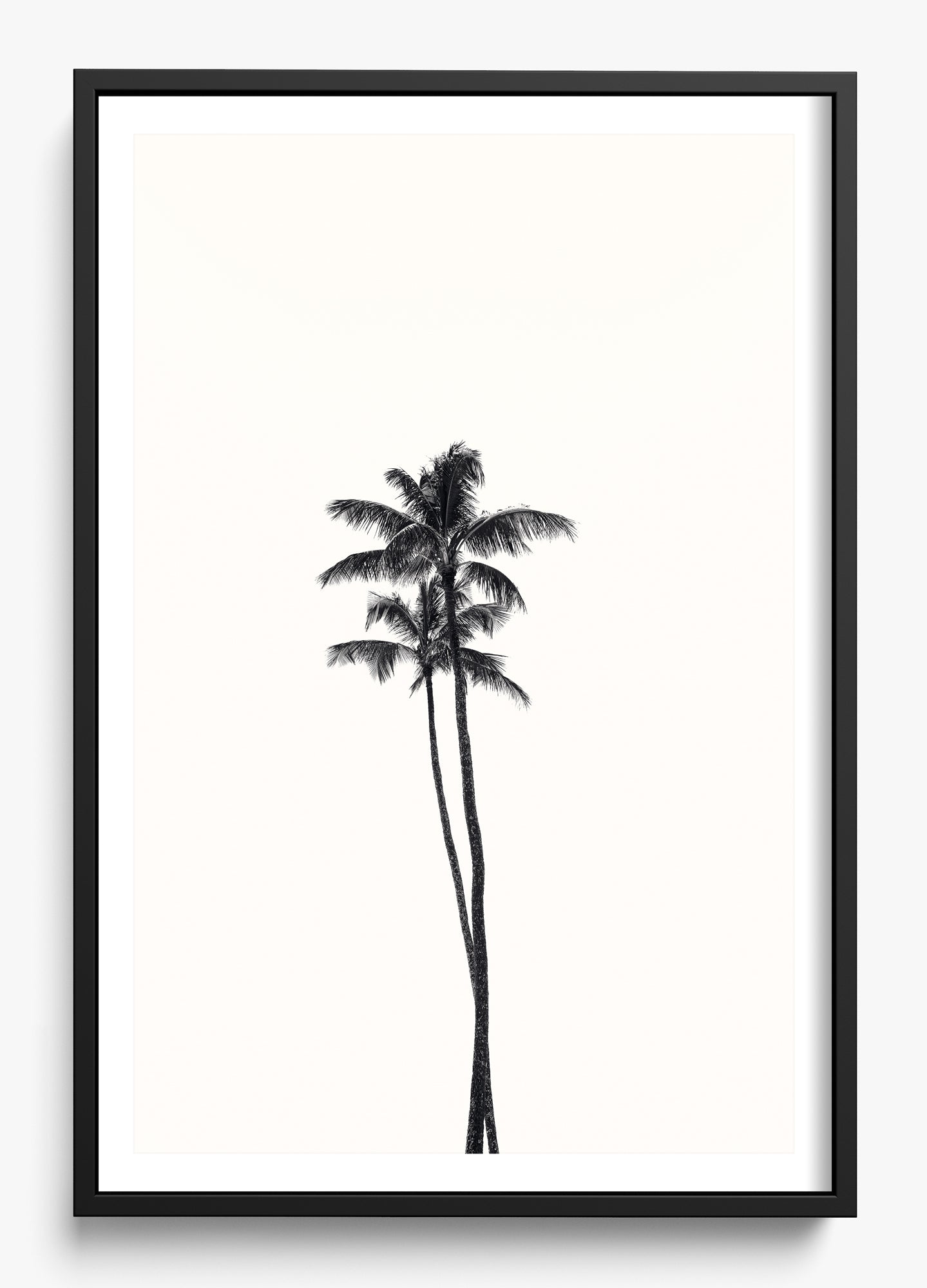 California Lovers
