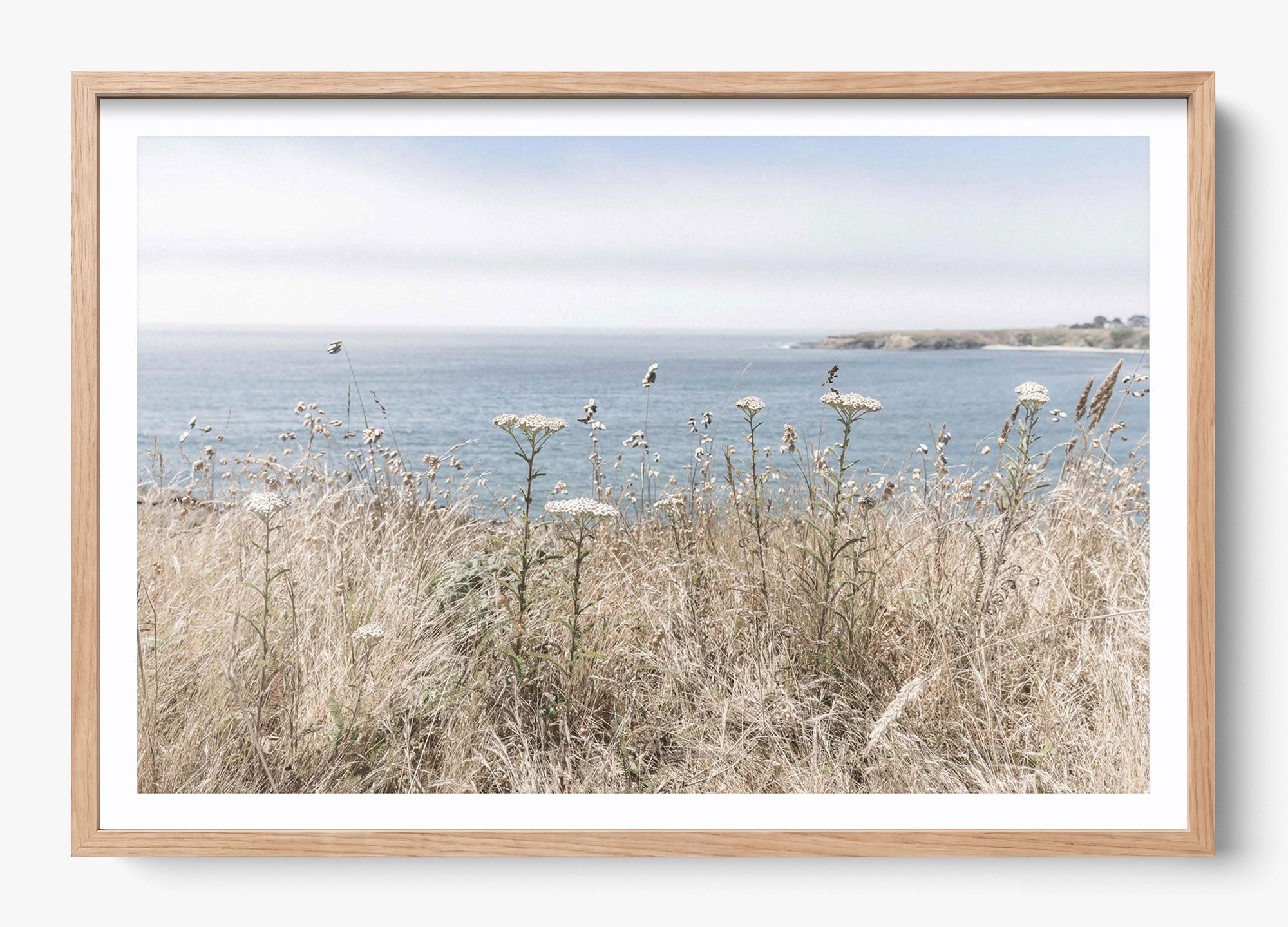 California Wildflower