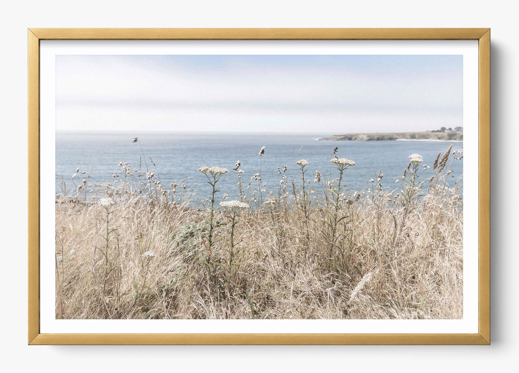 California Wildflower