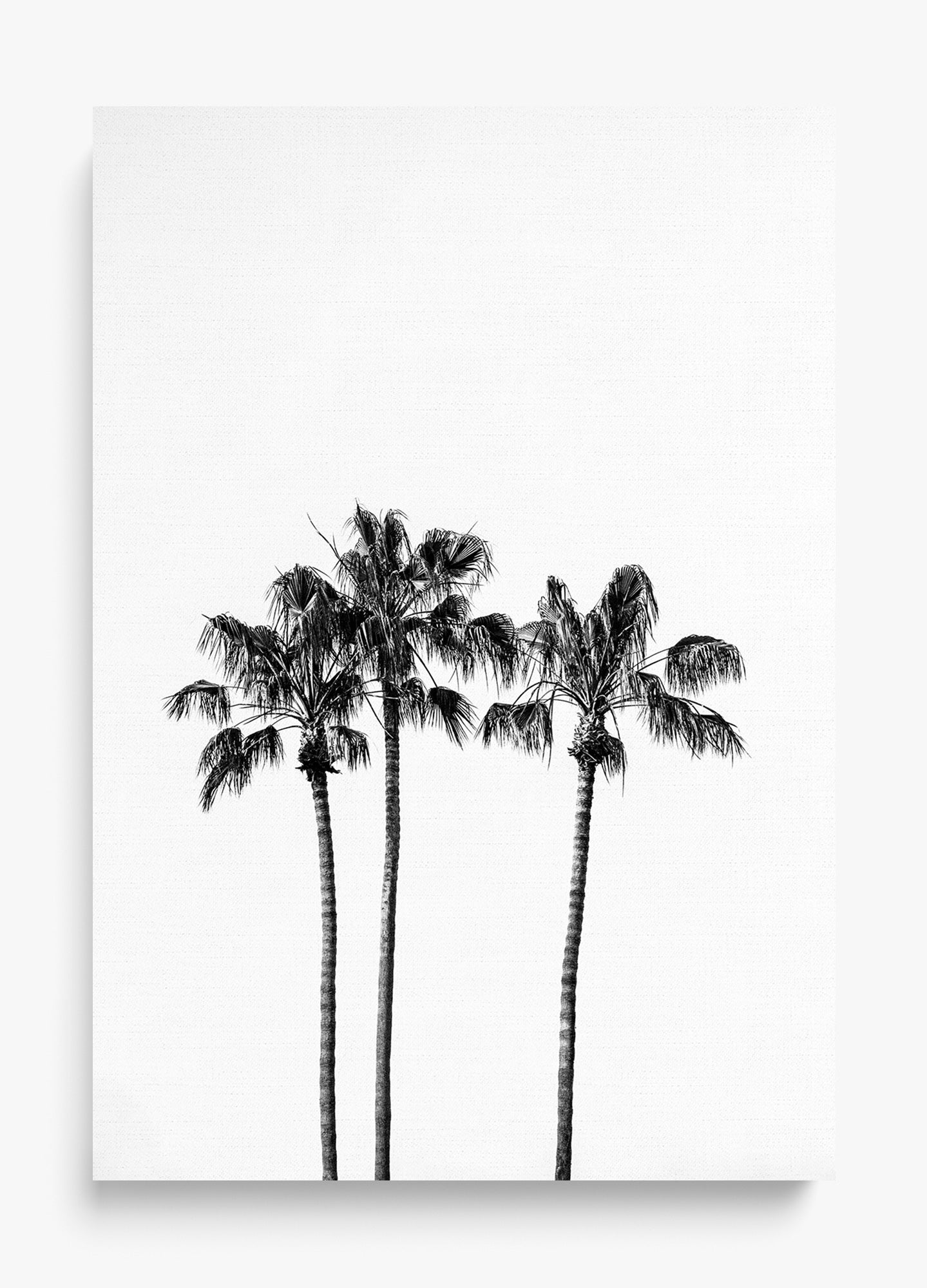 Californian Fireworks