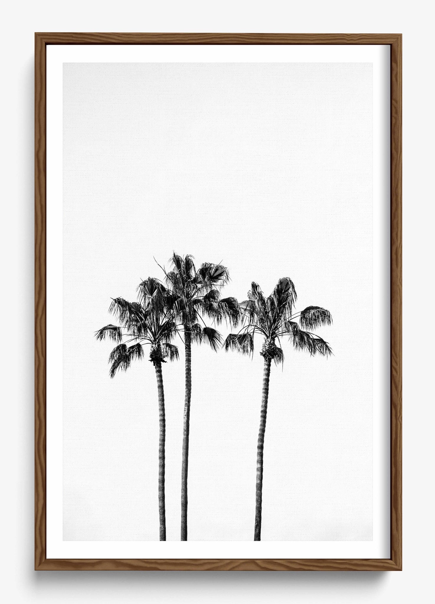 Californian Fireworks
