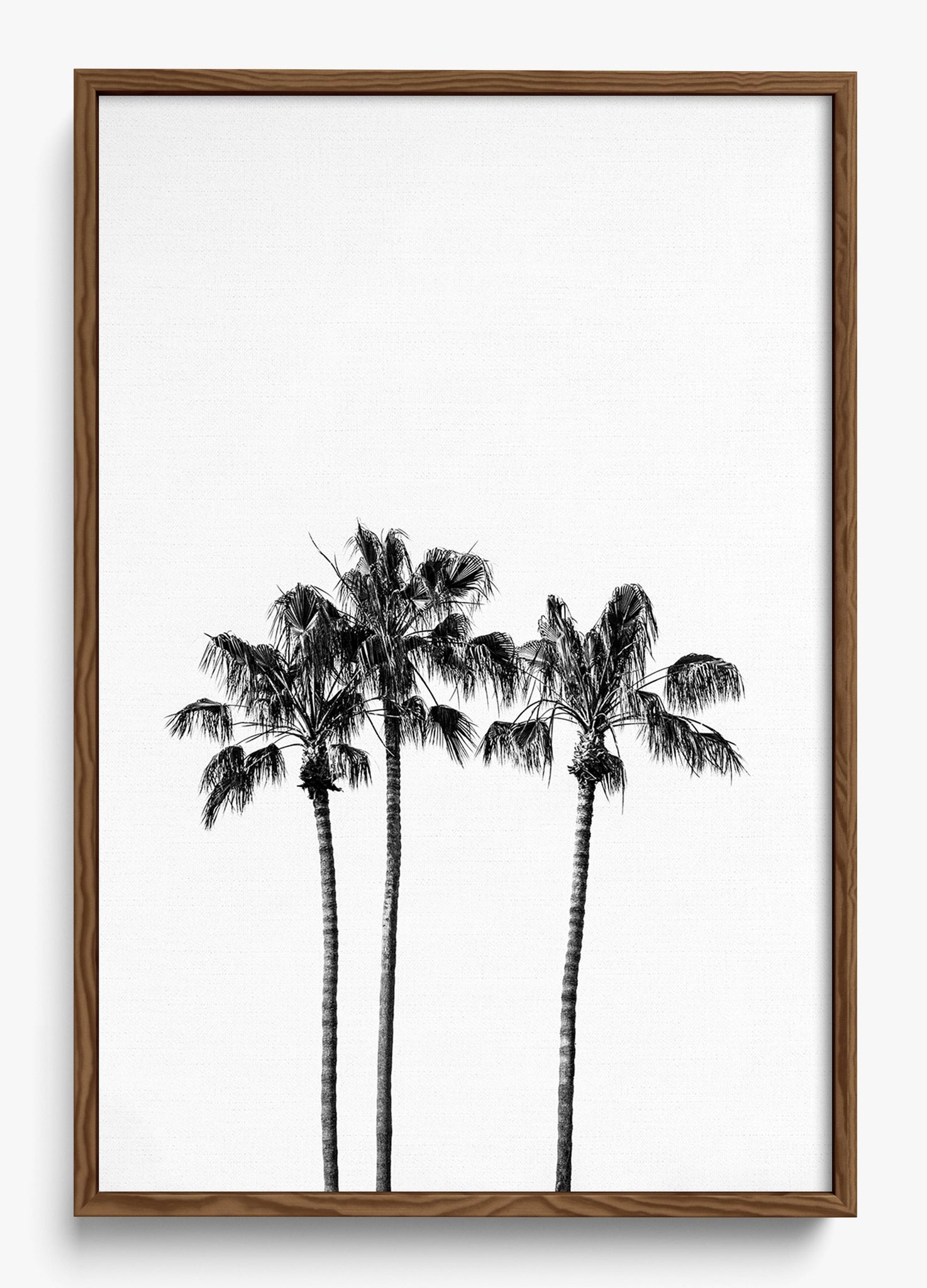 Californian Fireworks