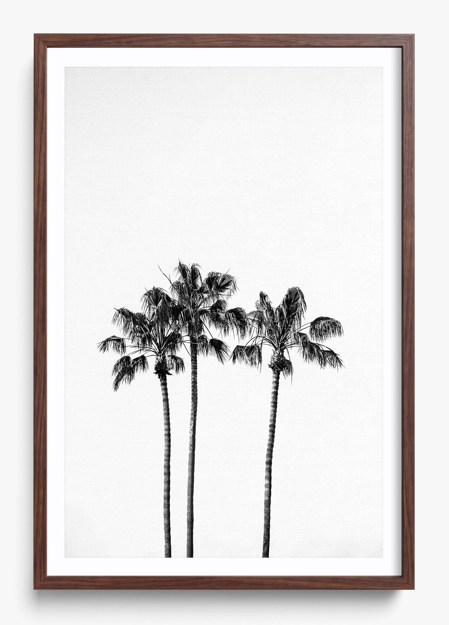 Californian Fireworks