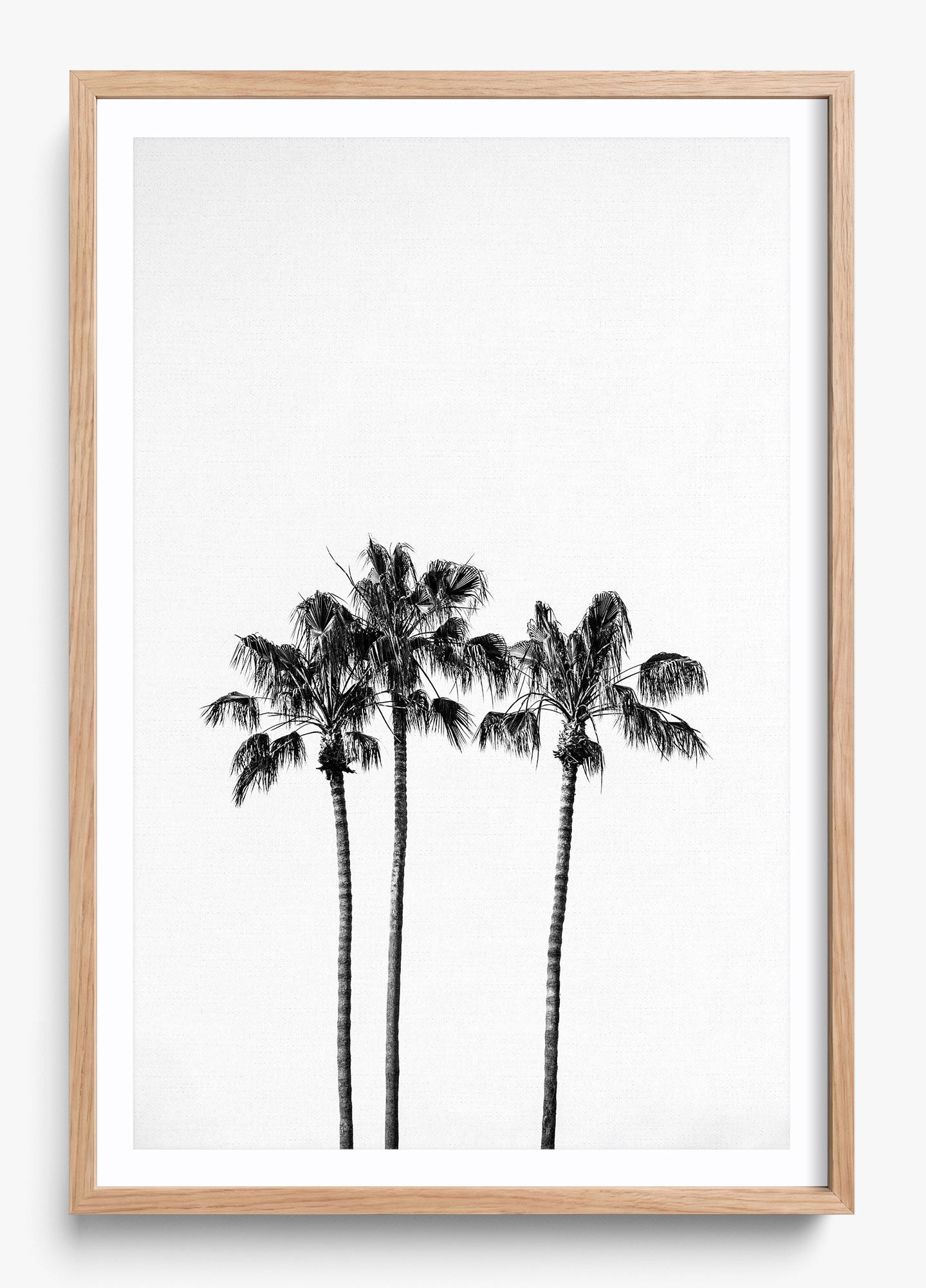 Californian Fireworks