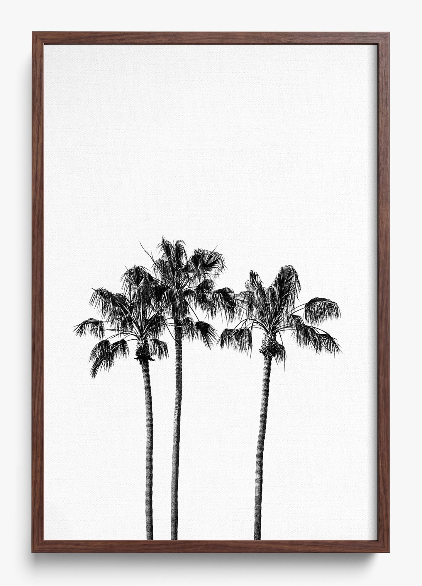Californian Fireworks