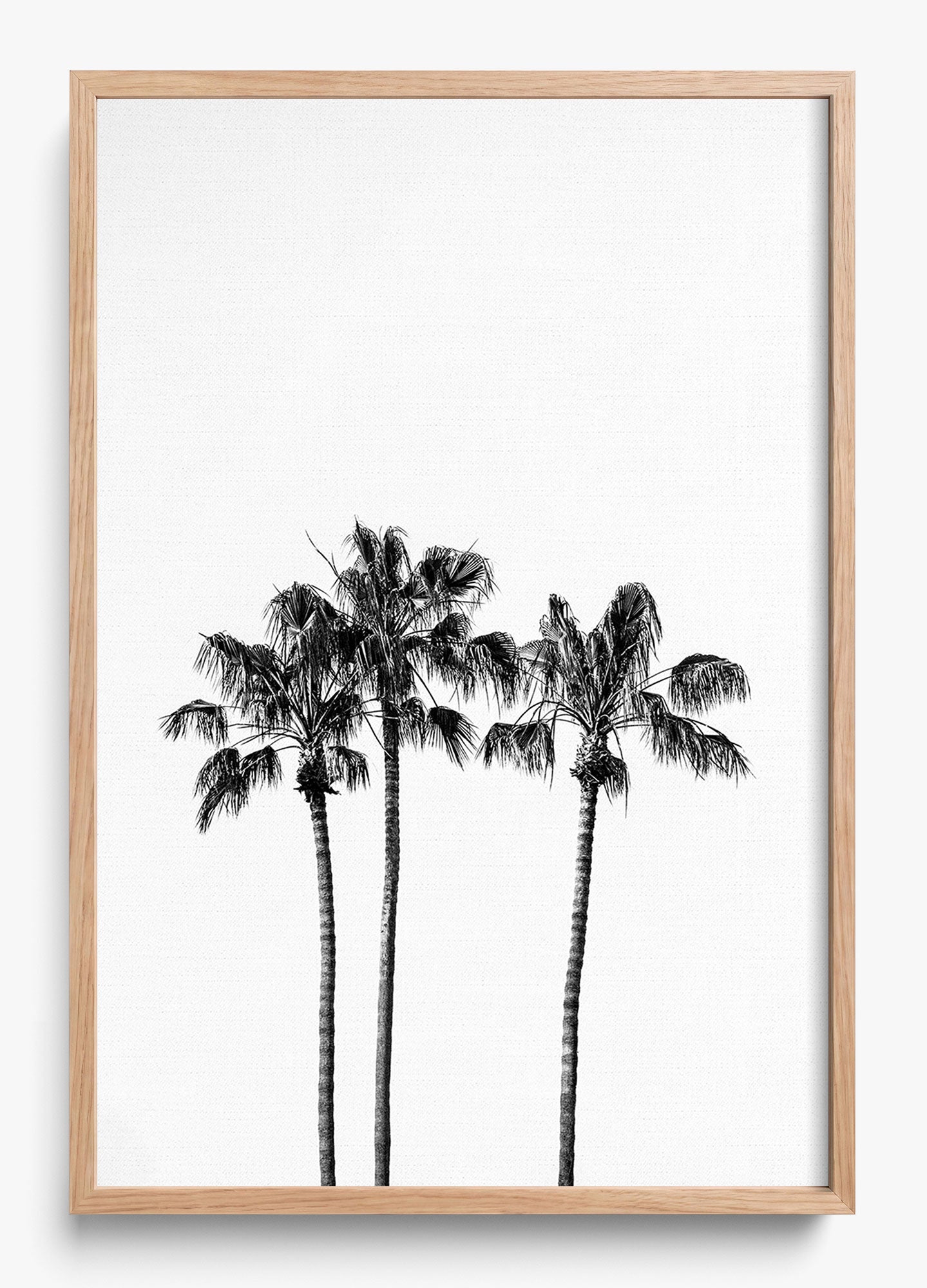 Californian Fireworks