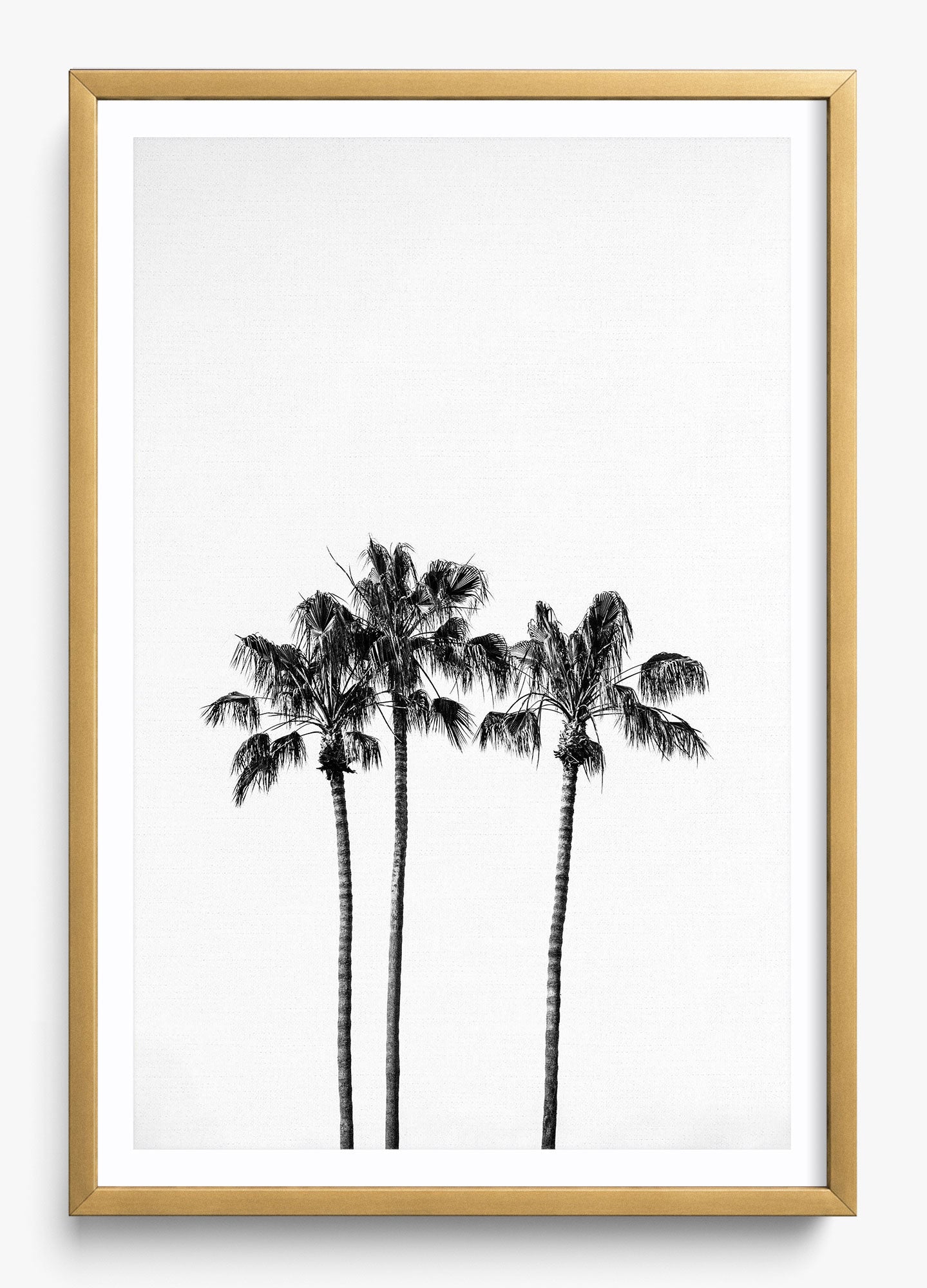 Californian Fireworks