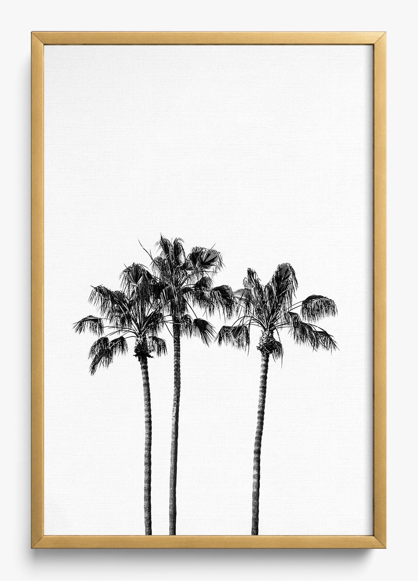 Californian Fireworks