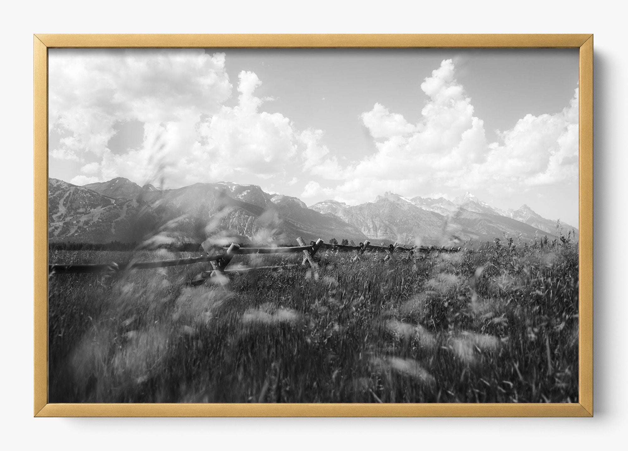 Call Of The West