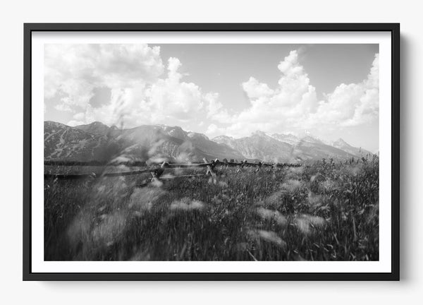Call Of The West in a Black frame
