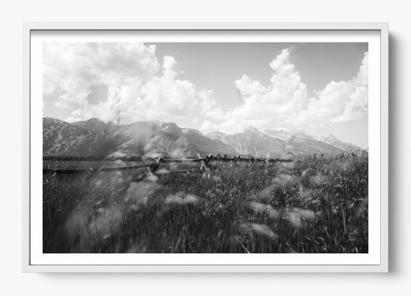 Call Of The West in a White frame