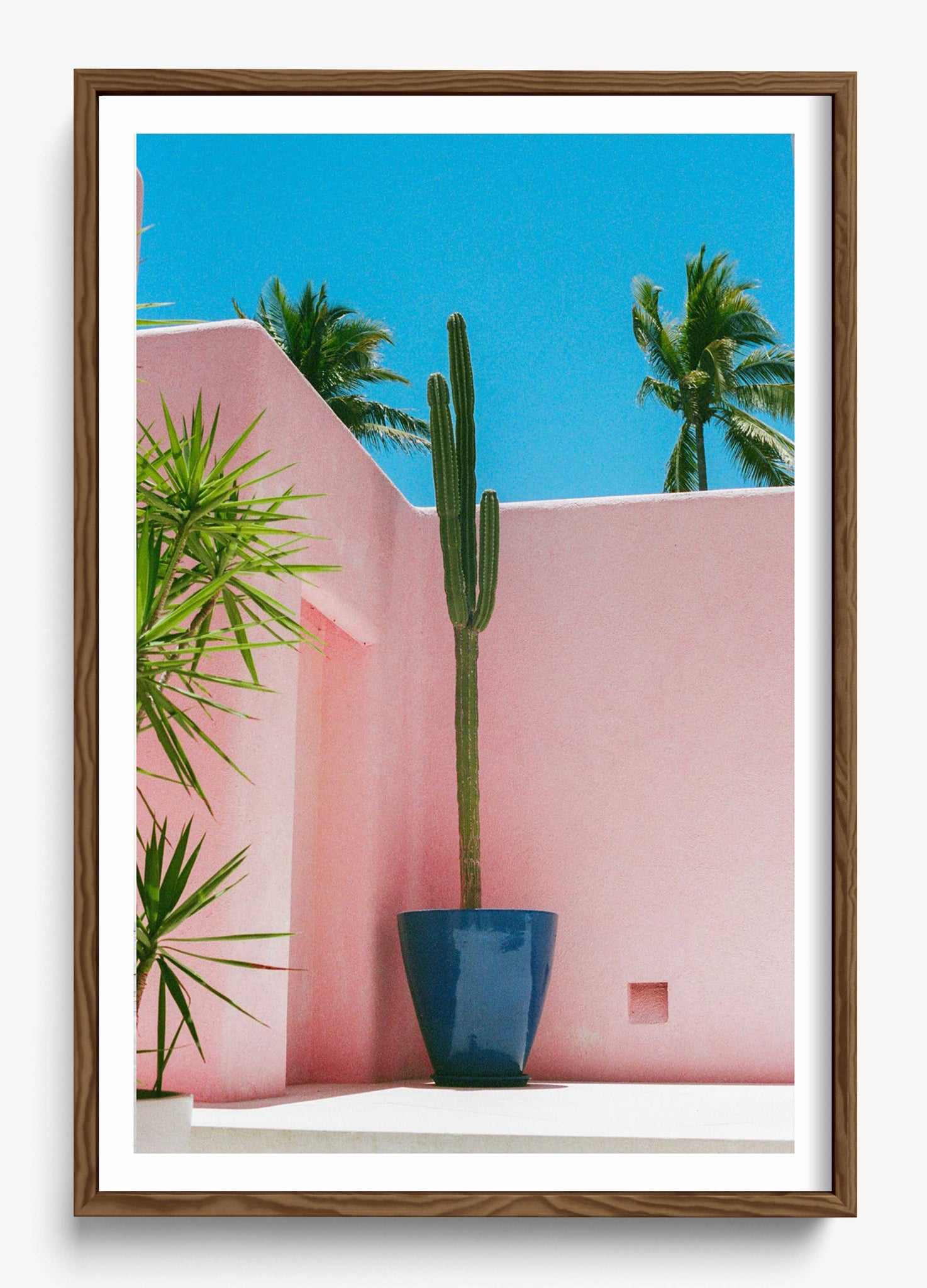 Summer In Pink