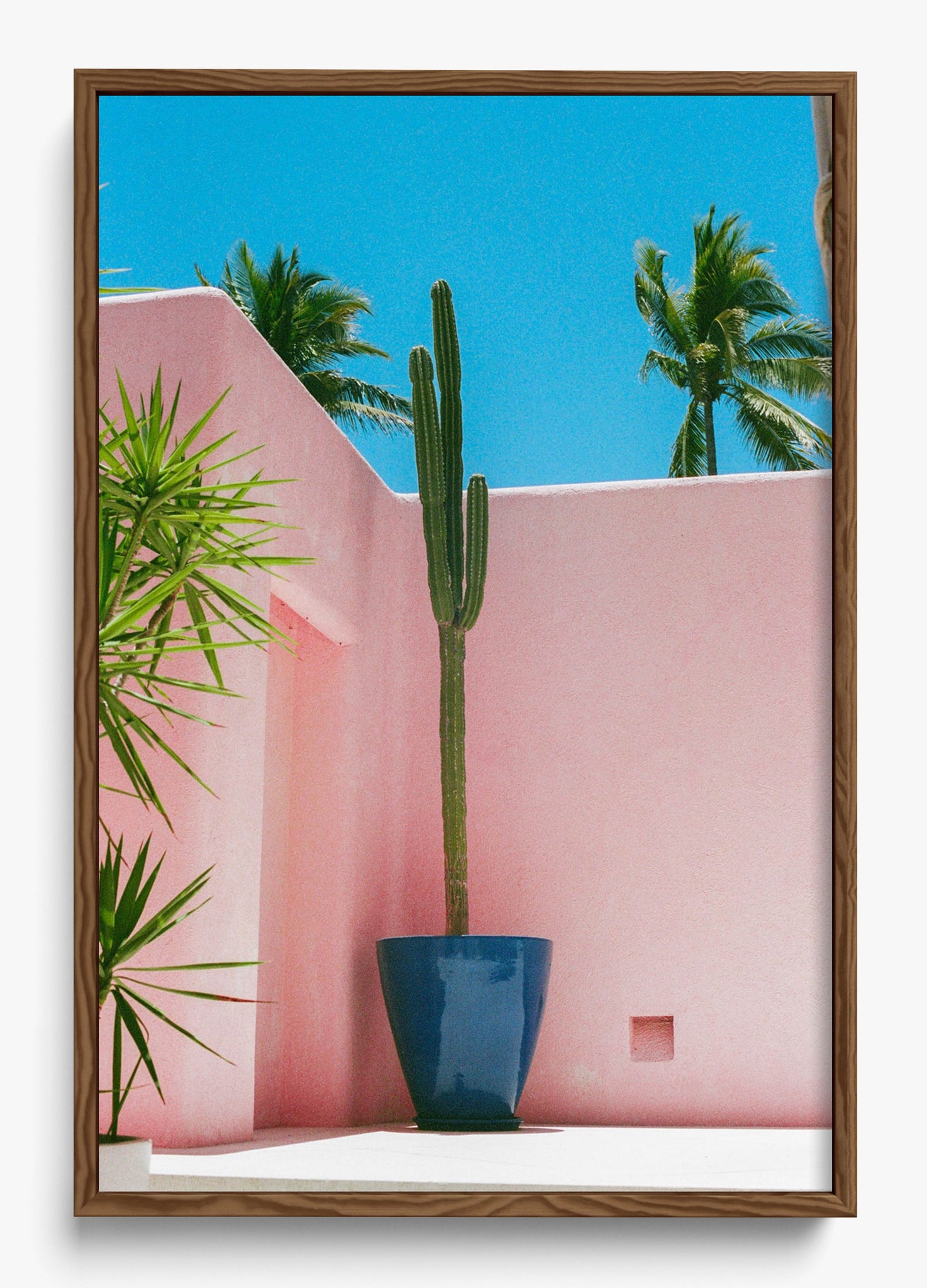 Summer In Pink