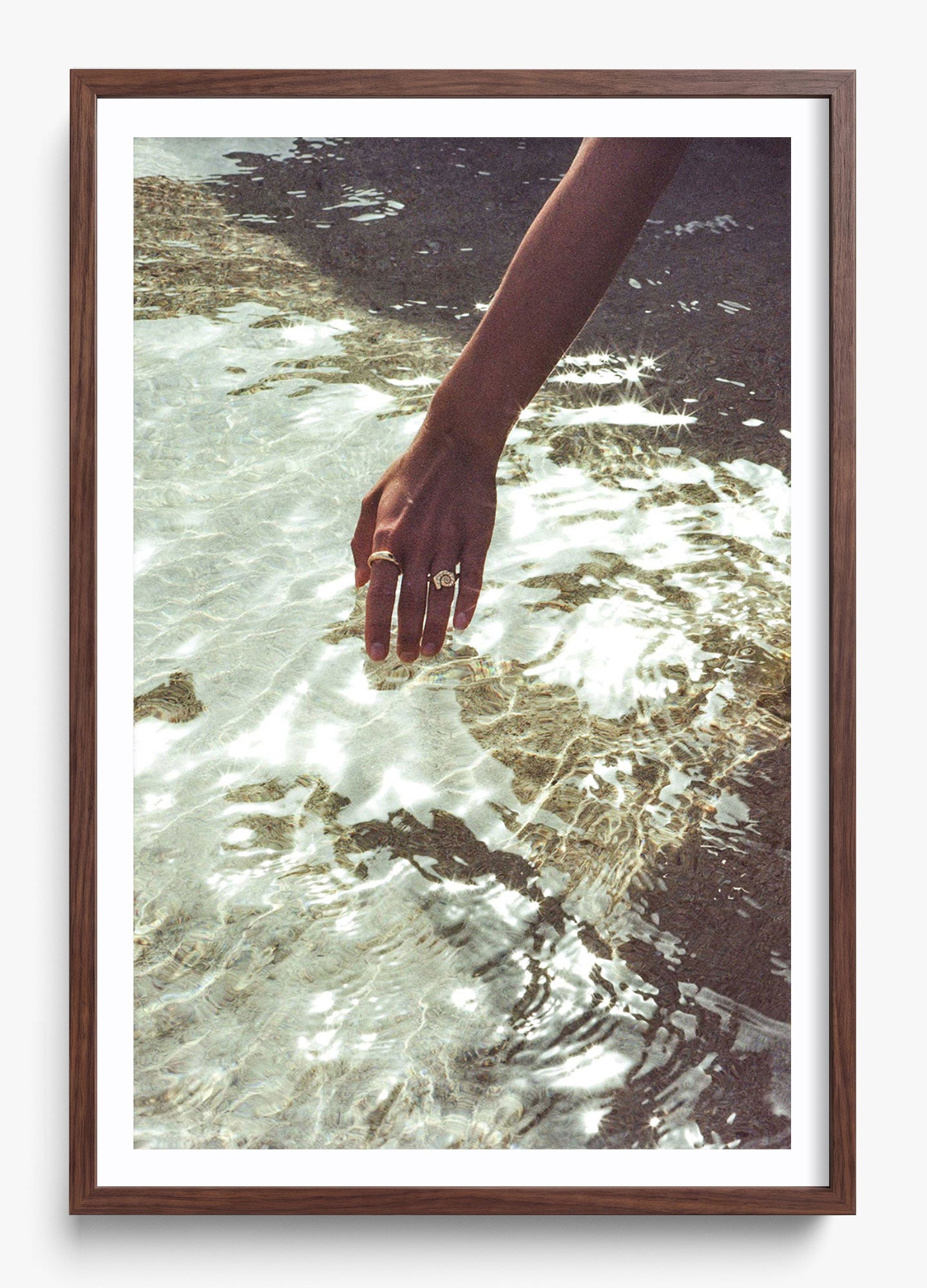 Catching Sea Stars