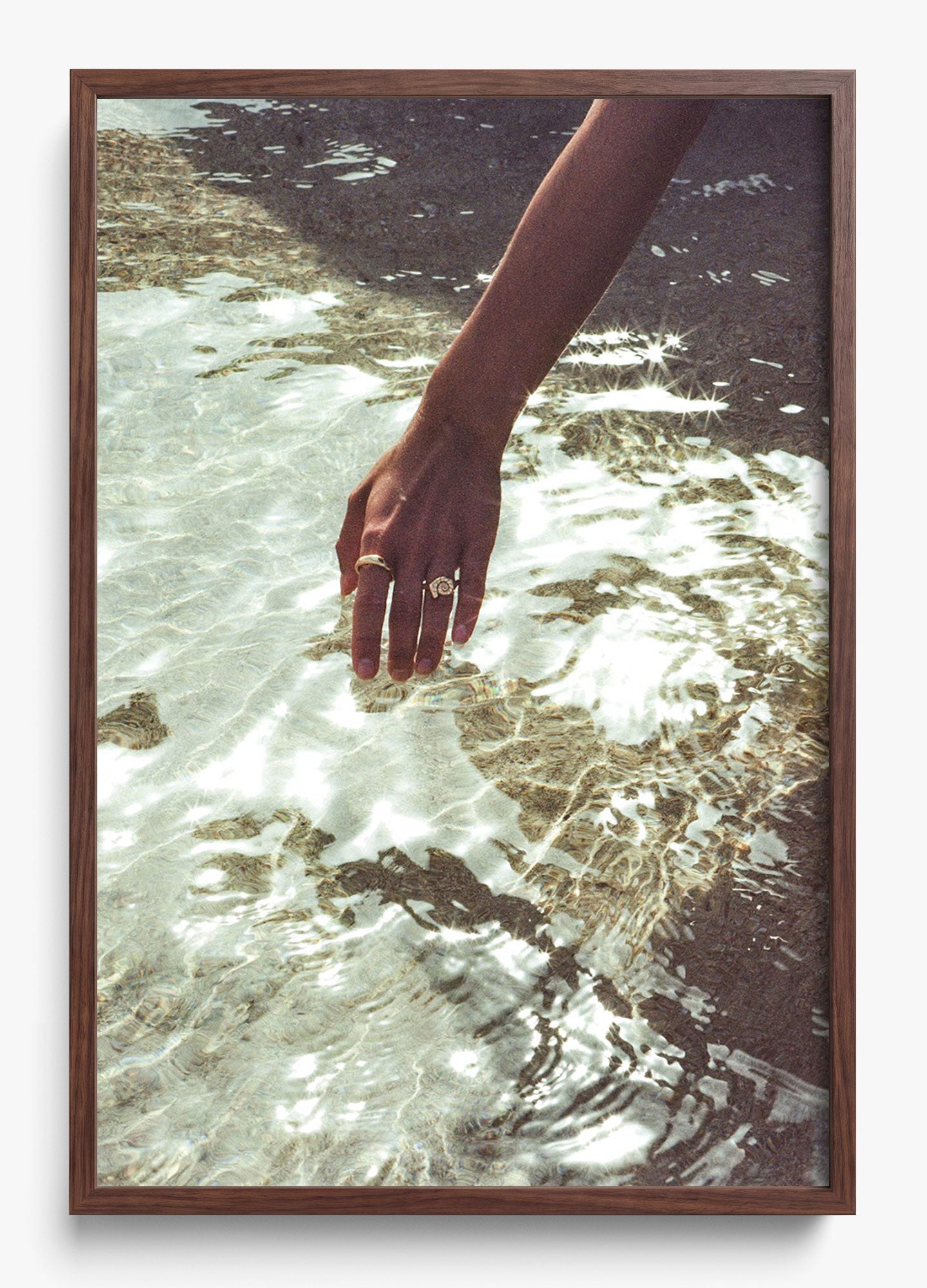 Catching Sea Stars