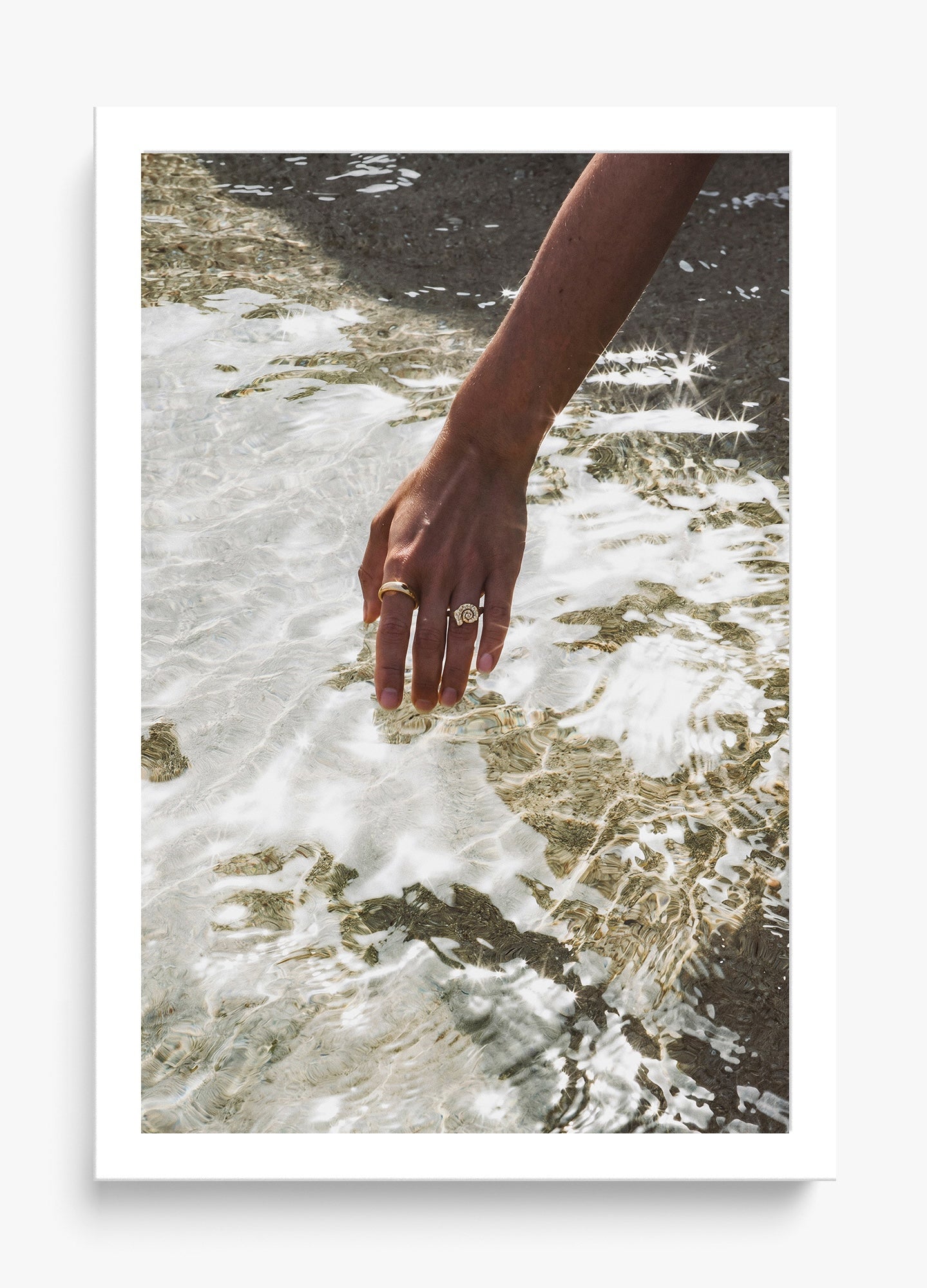 Catching Sea Stars