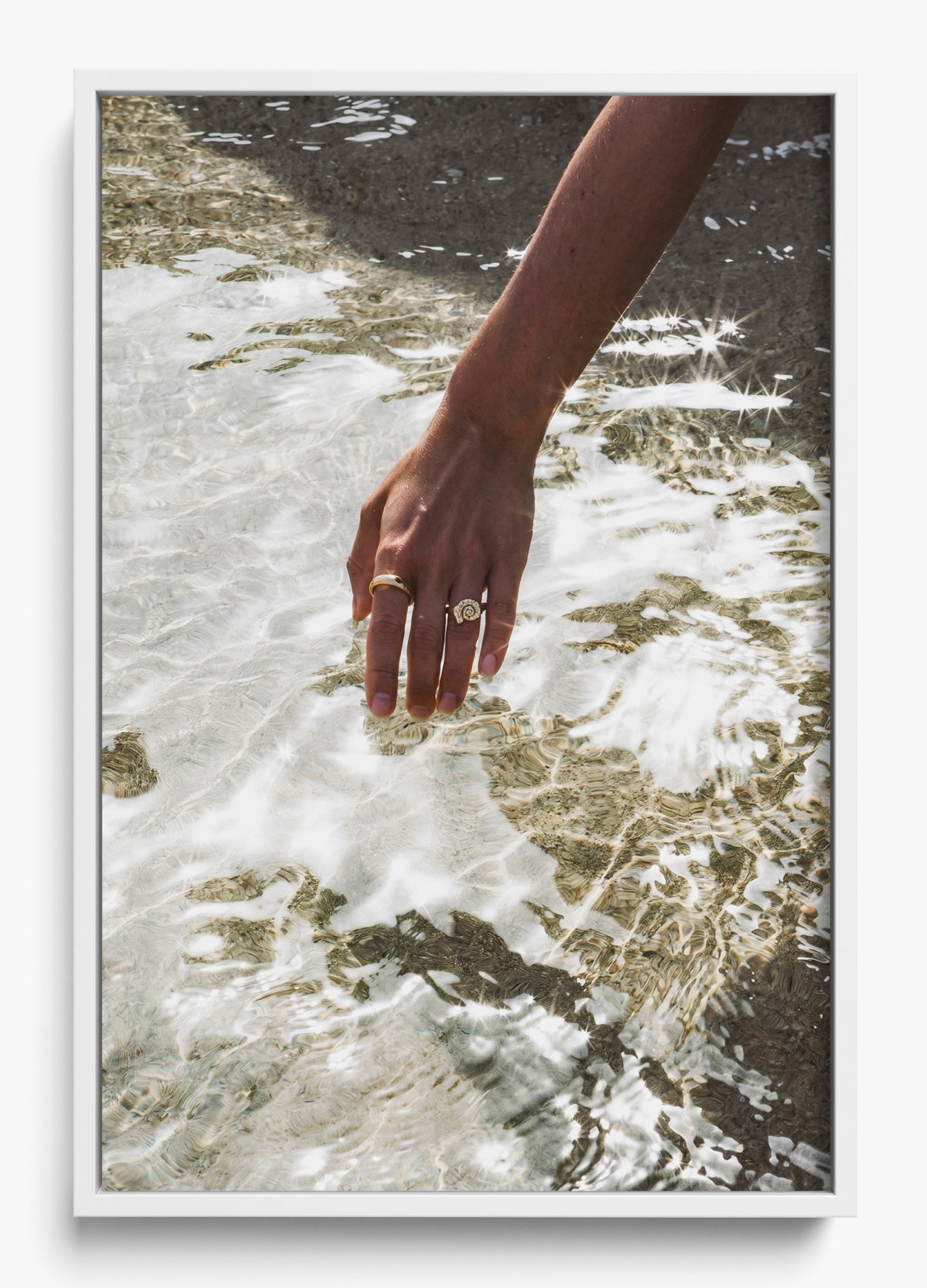 Catching Sea Stars