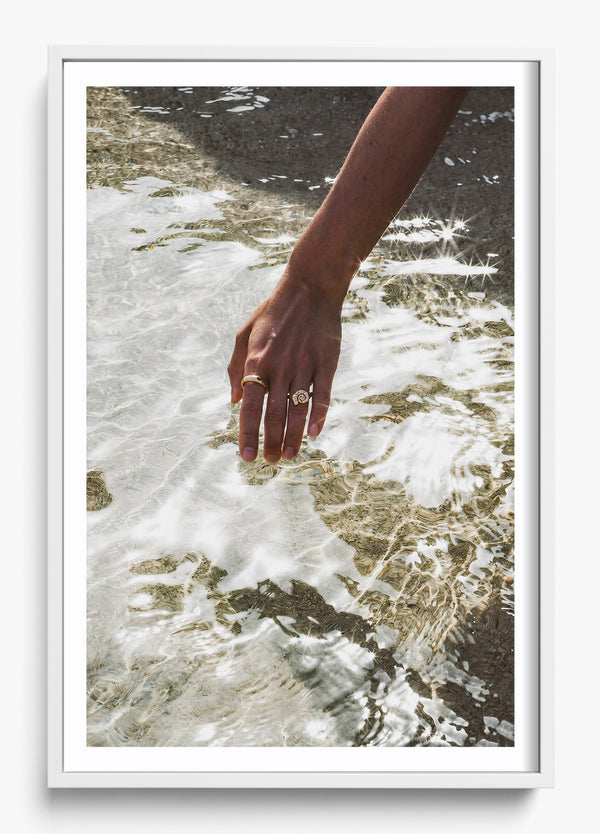 Catching Sea Stars in a White frame